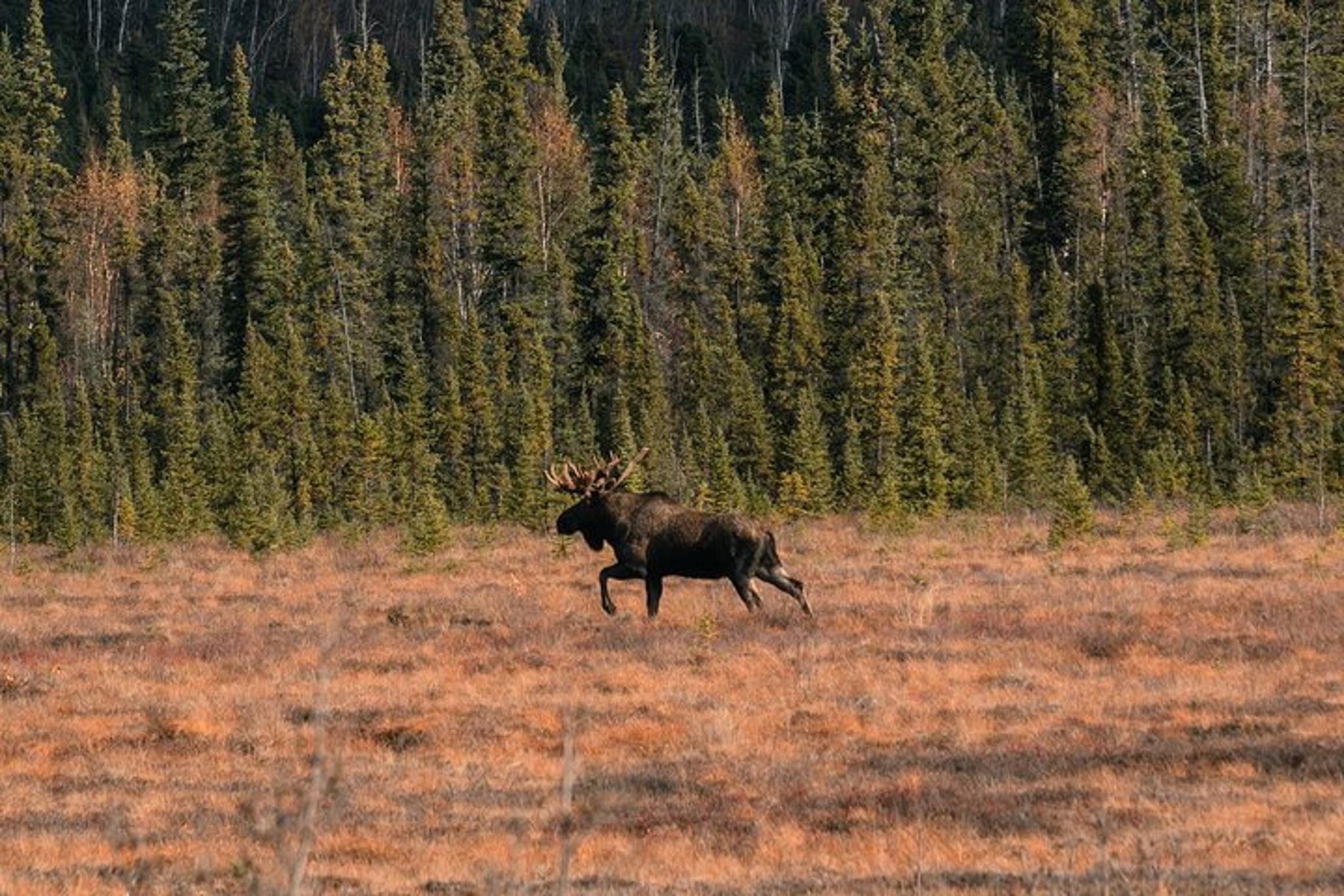 Fairbanks Arctic Circle Experience with Lunch - Image 2