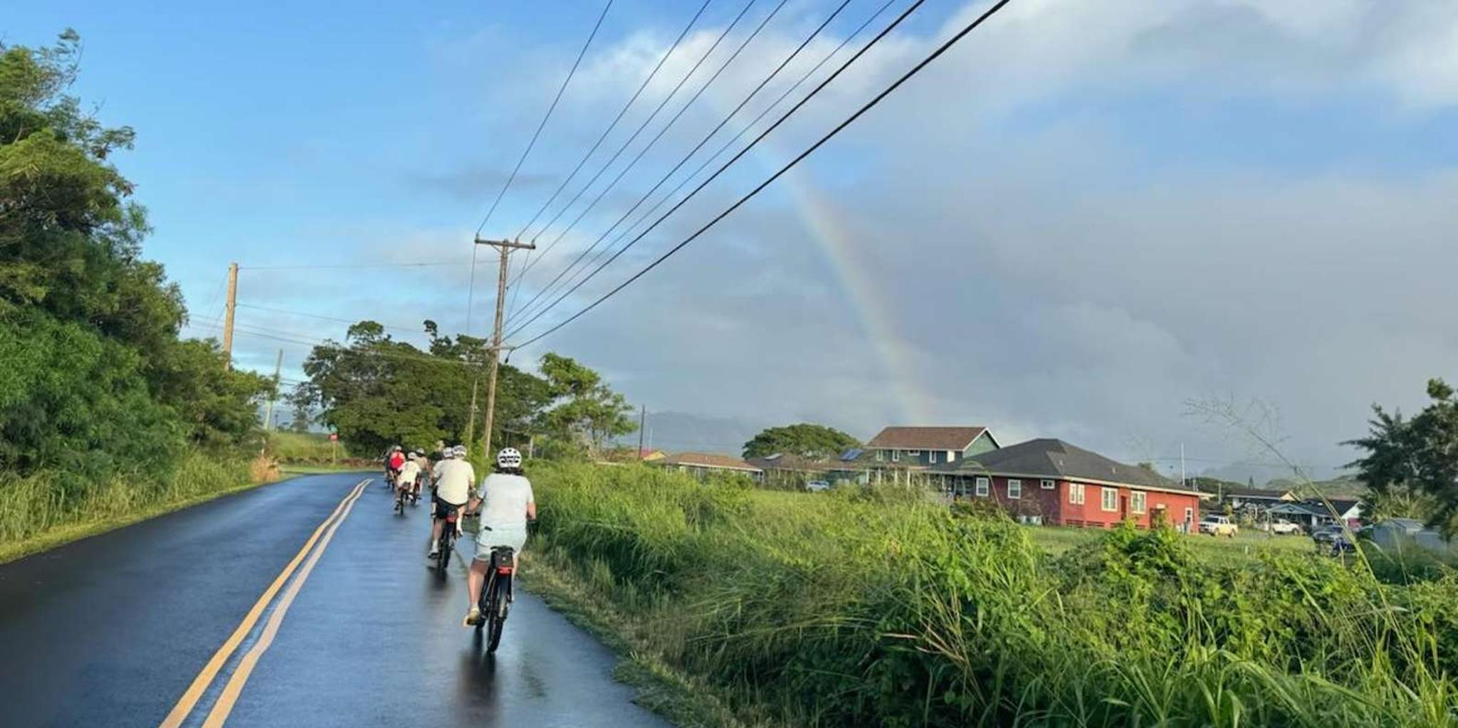 Kauai Electric Bike Tour of Poipu and Koloa - Image 5