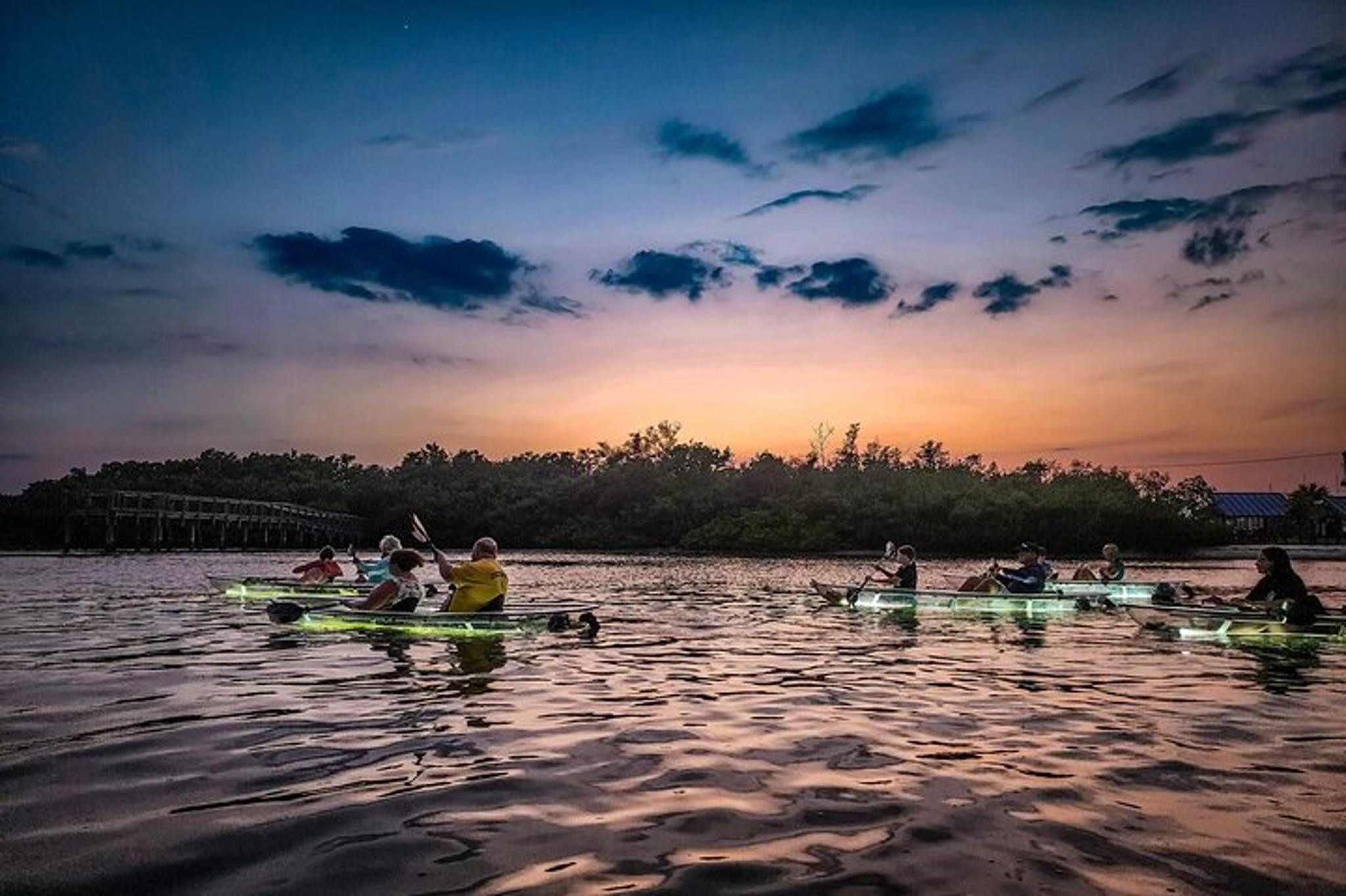 Sarasota Clear Kayak LED Night Tour - Image 6