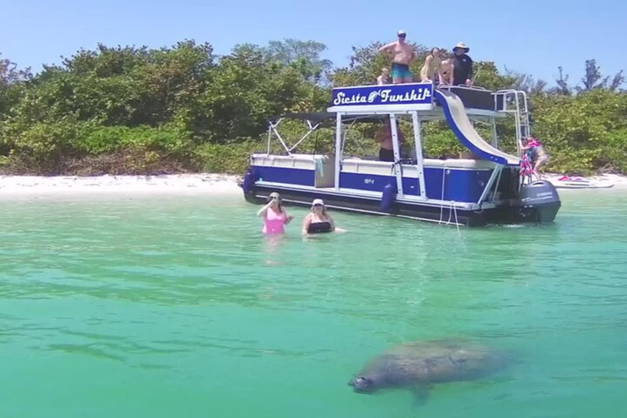Siesta Key Funship Adventure Dolphin Cruise - Image 2