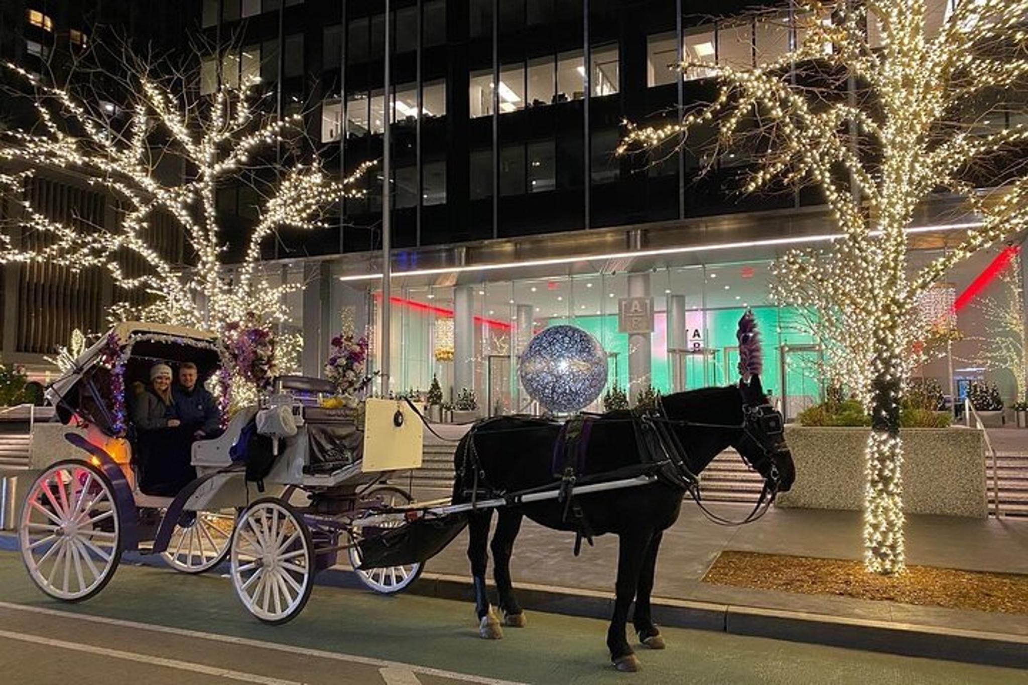 New York City Rockefeller Center Christmas Lights Carriage Ride - Image 5