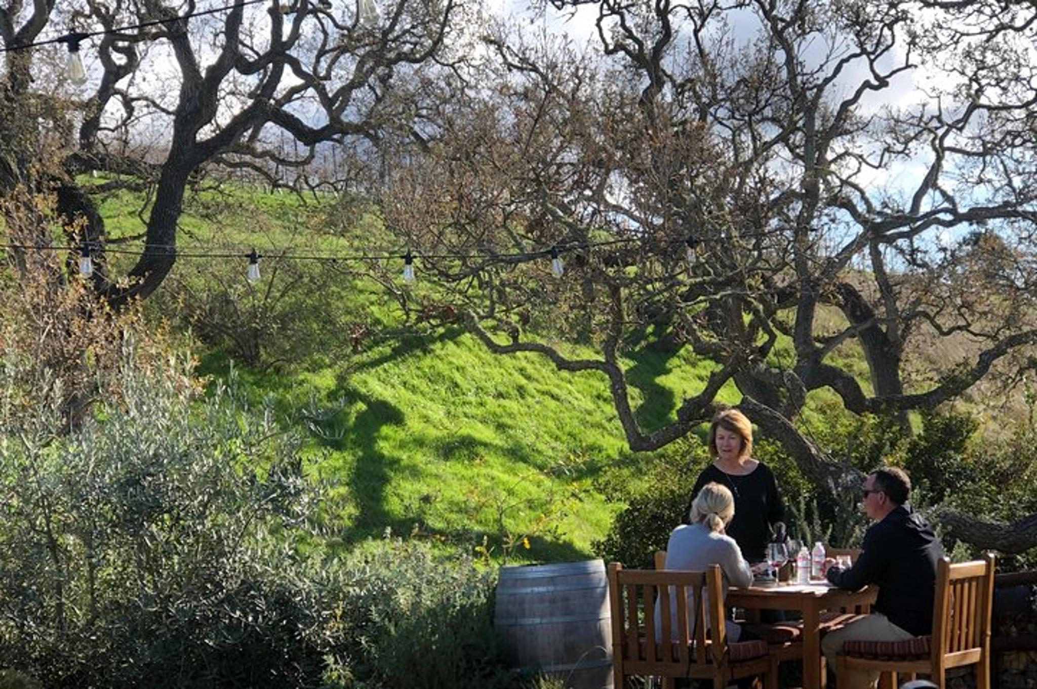 Santa Barbara Wine Country Tour - Image 2