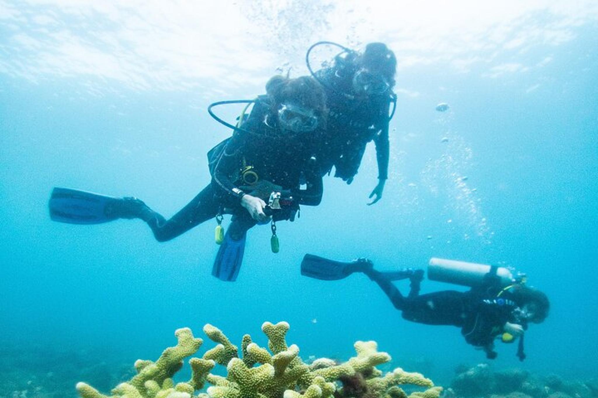 Kauai Scuba Diving South Shore Certified Diver 3 hr