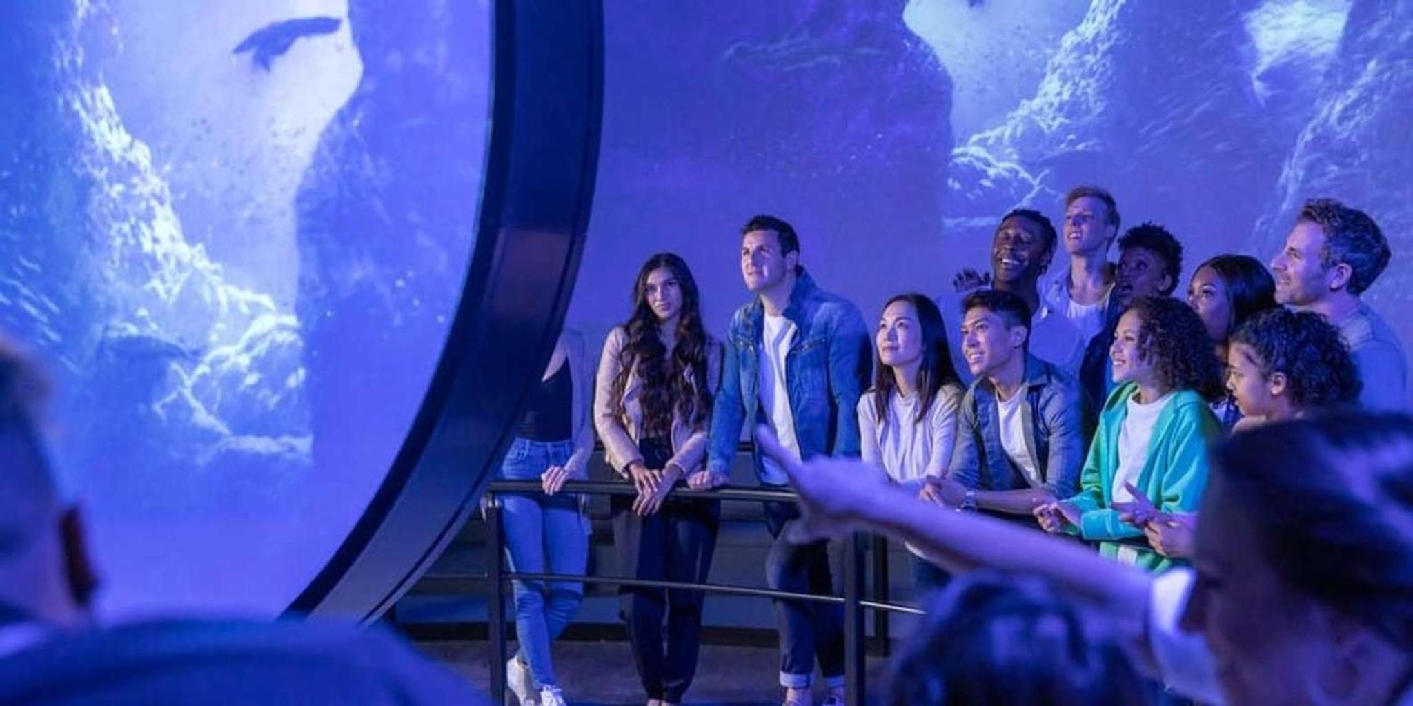 Chicago Flyover Immersive Experience - Image 6