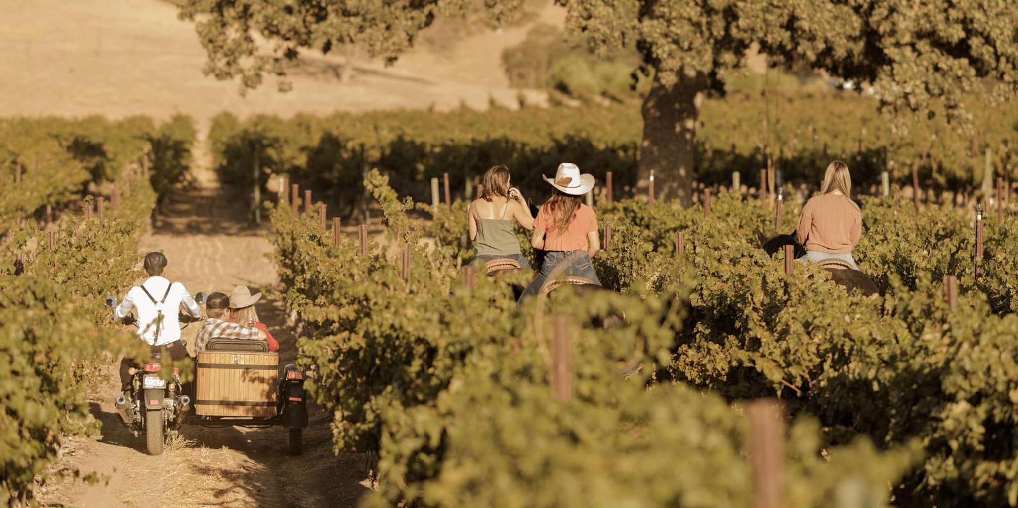 San Luis Obispo Sidecar Wine Adventure - Image 5