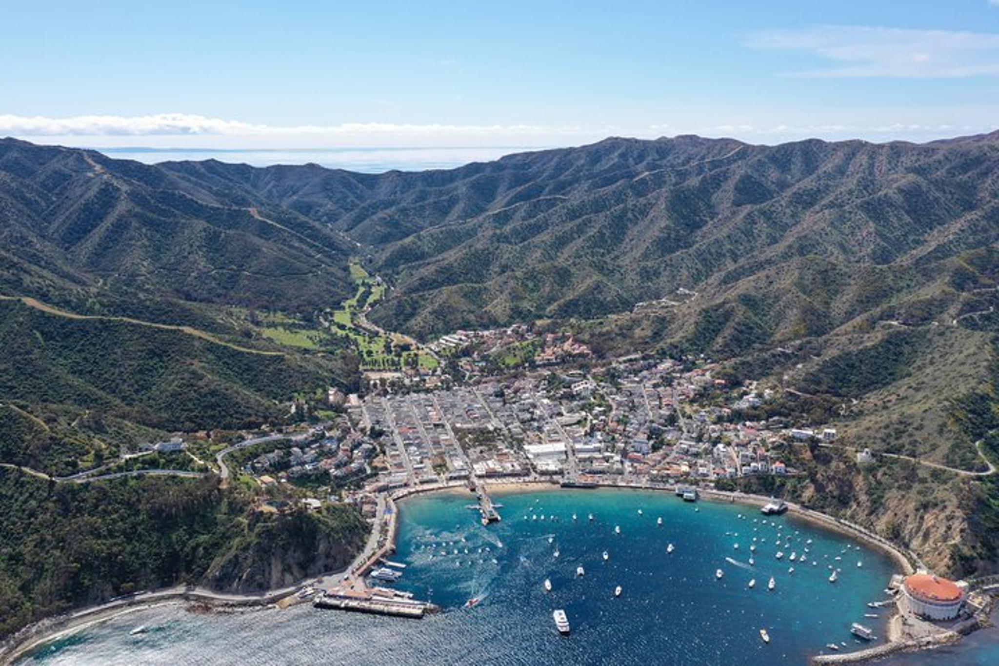 Newport Beach Catalina Island Ferry - Image 3