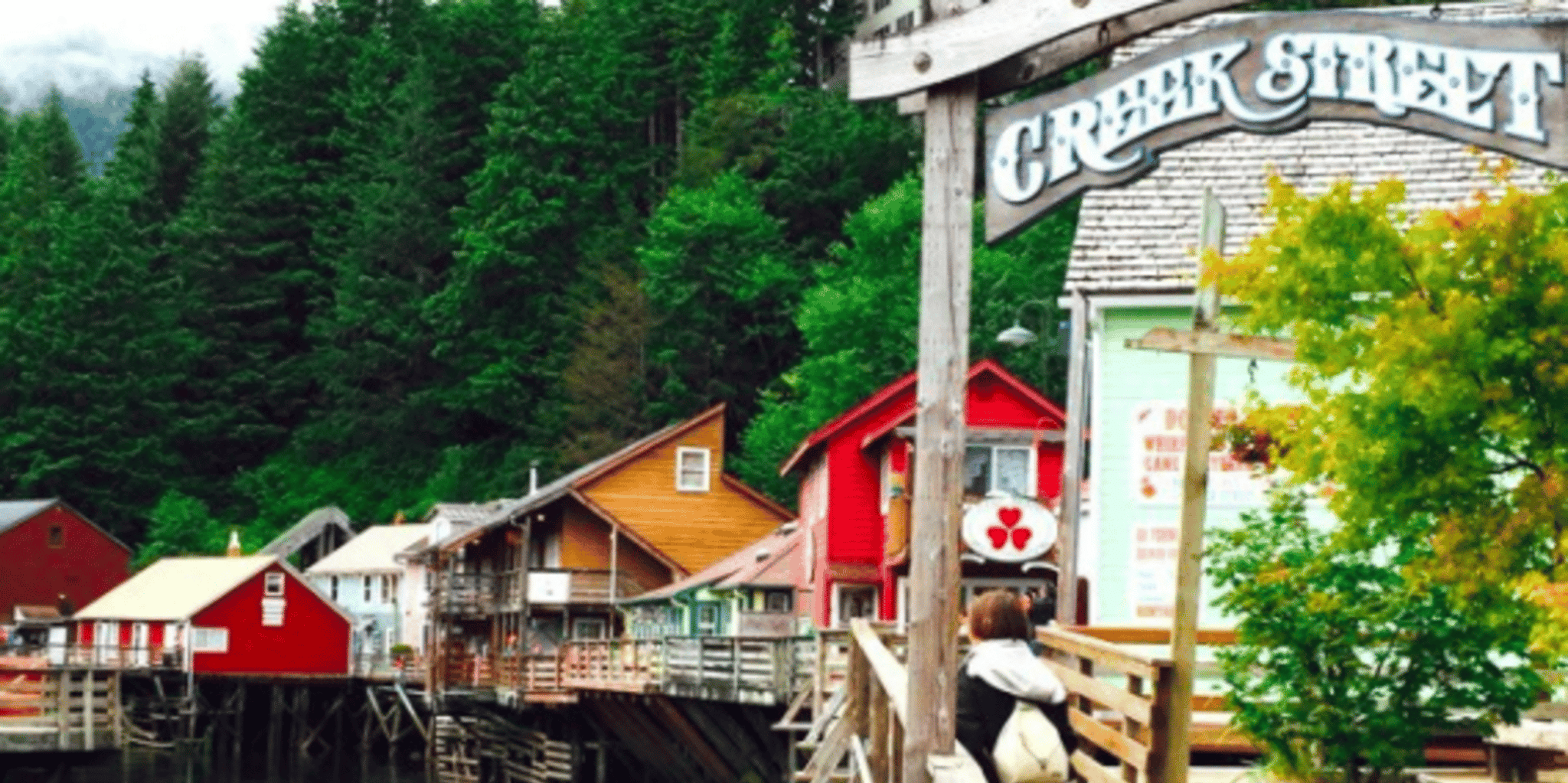 Ketchikan City Tour and Potlatch Totem Park - Image 1