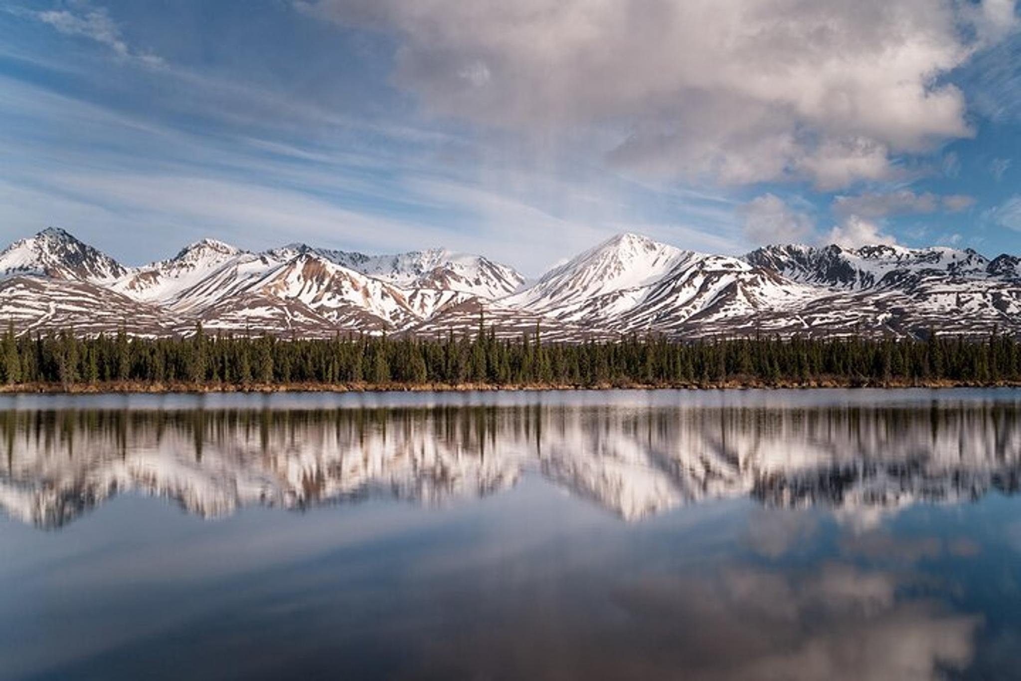 Denali Photo Excursion 3 hr - Image 2