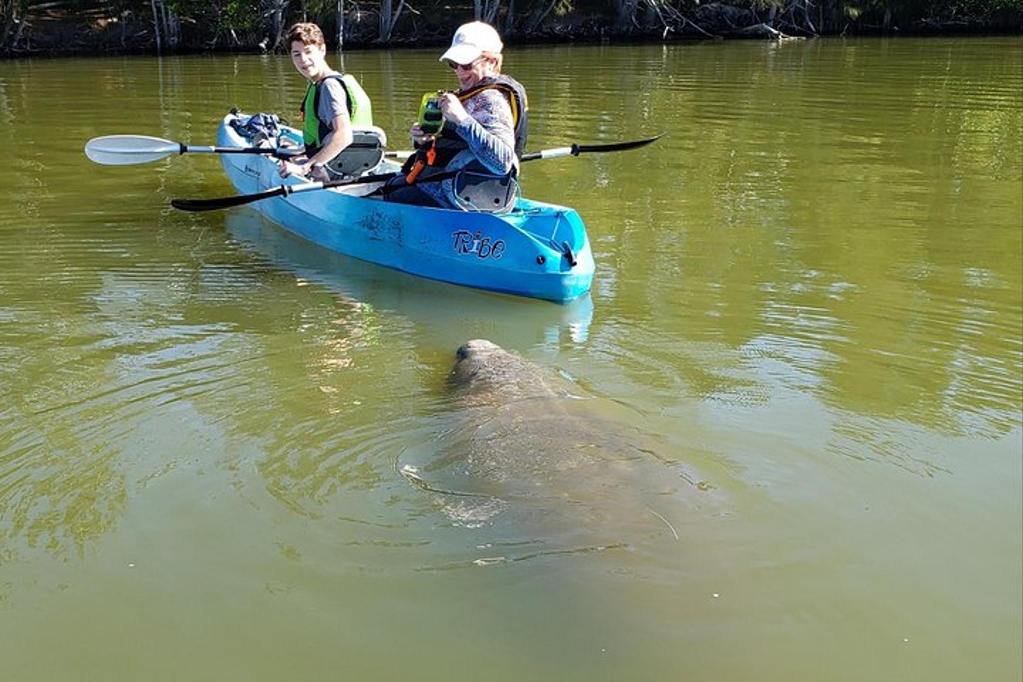 Titusville Manatee and Dolphin Kayak Tour - Image 2