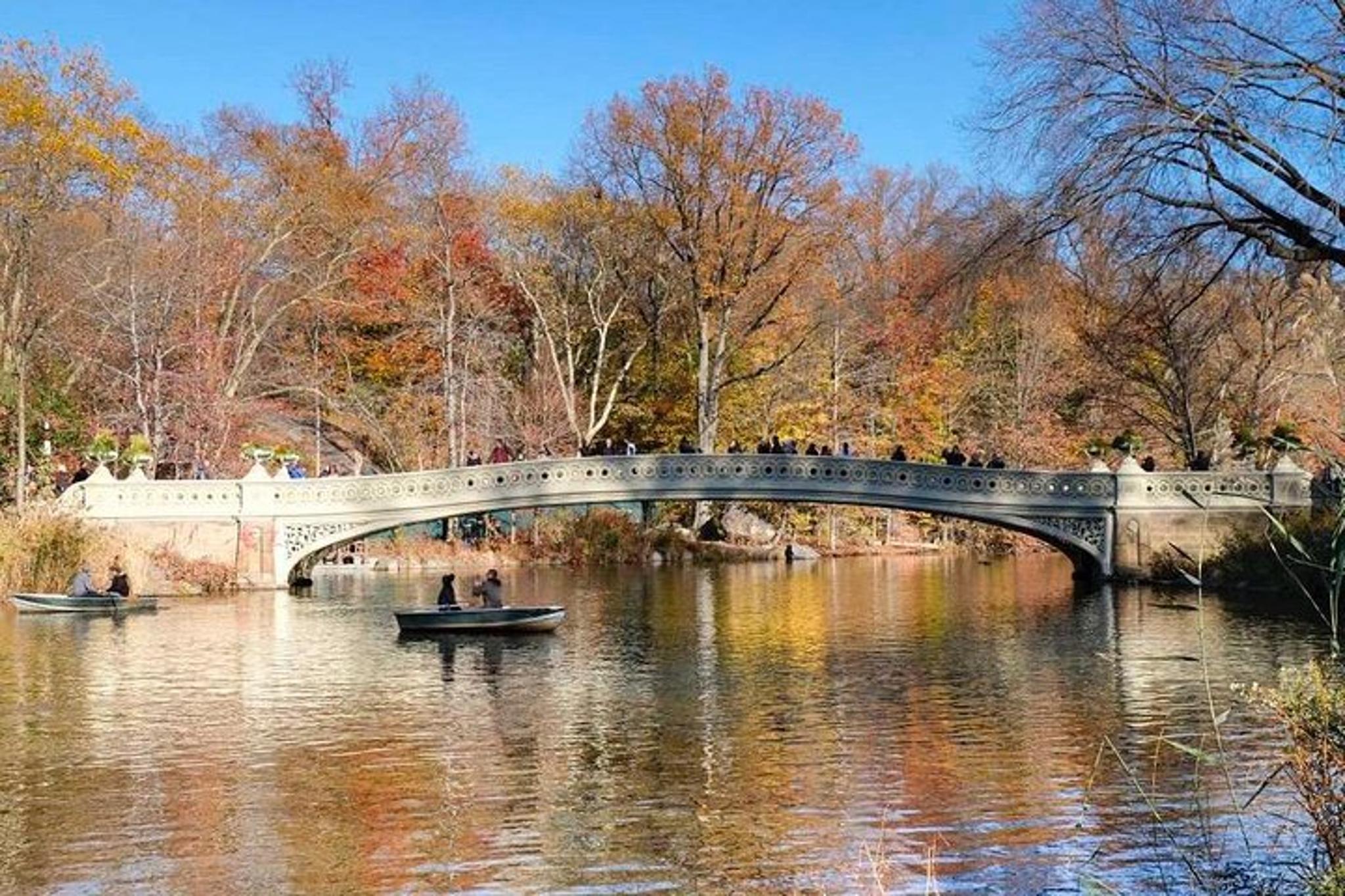 New York Central Park Walking Tour in French - Image 4
