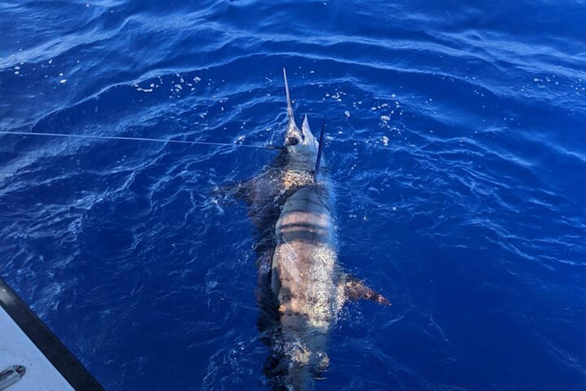 Kailua-Kona Private Fishing Charter - Image 3