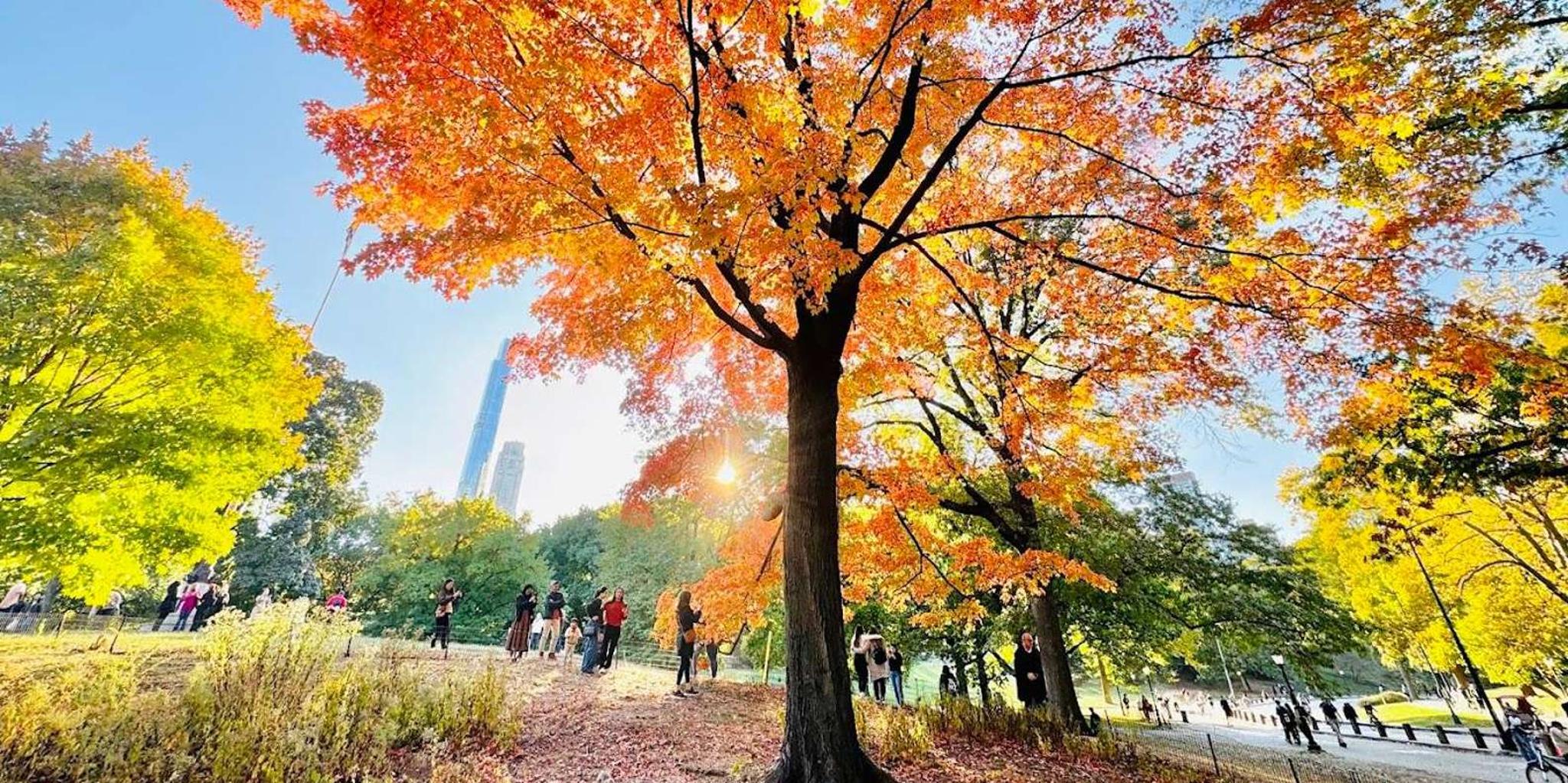 New York City Central Park Bike Tour - Image 3