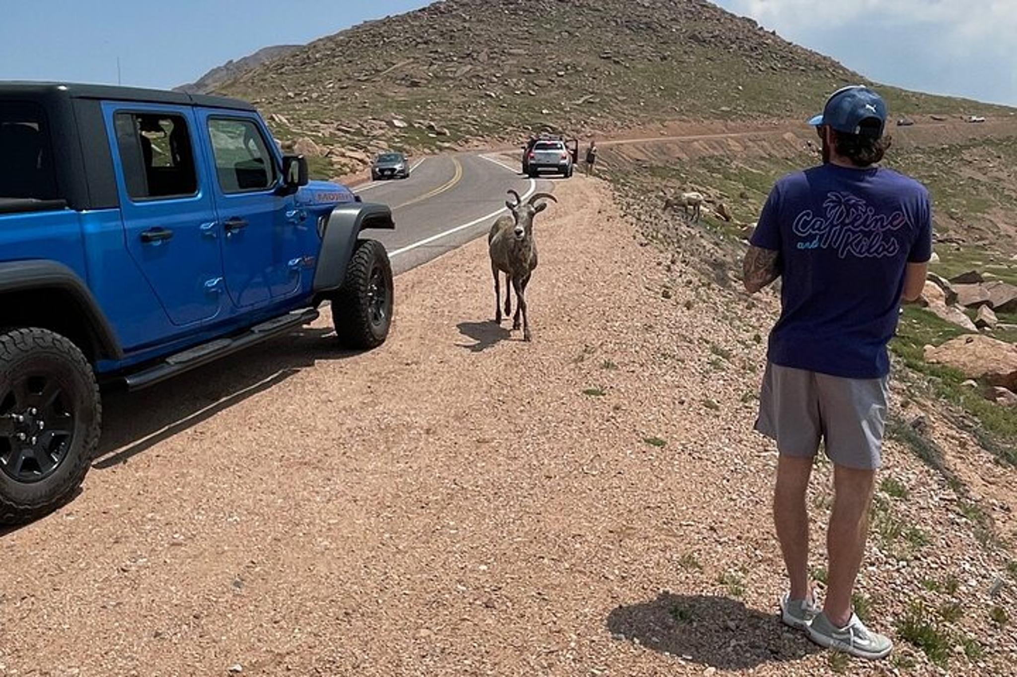 Denver Jeep Tour Garden of the Gods and Pike's Peak - Image 5