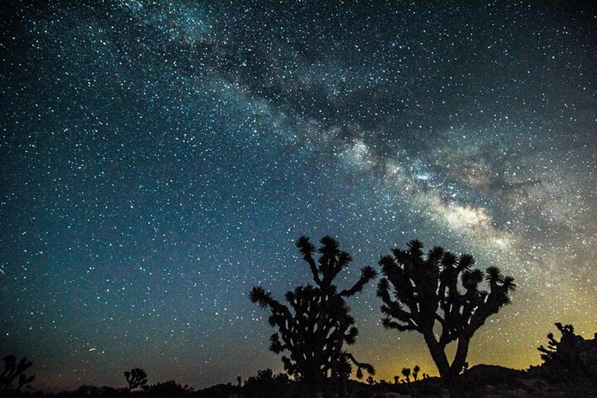 Joshua Tree Sunset Stargazing Hike
