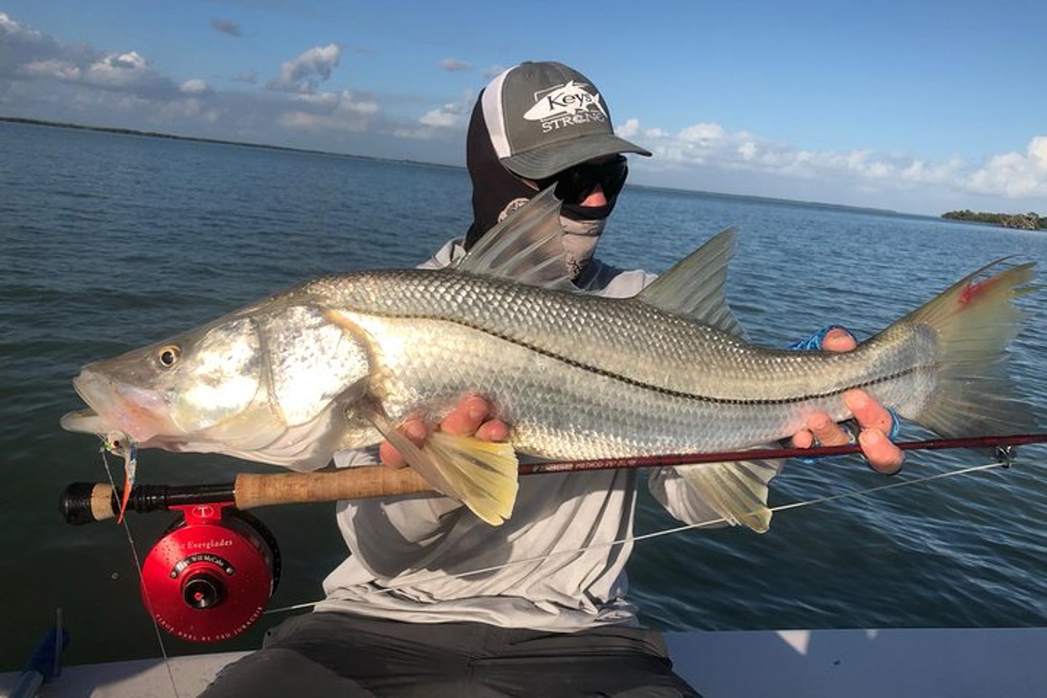 Islamorada Fishing Charter with Experienced Captain - Image 5