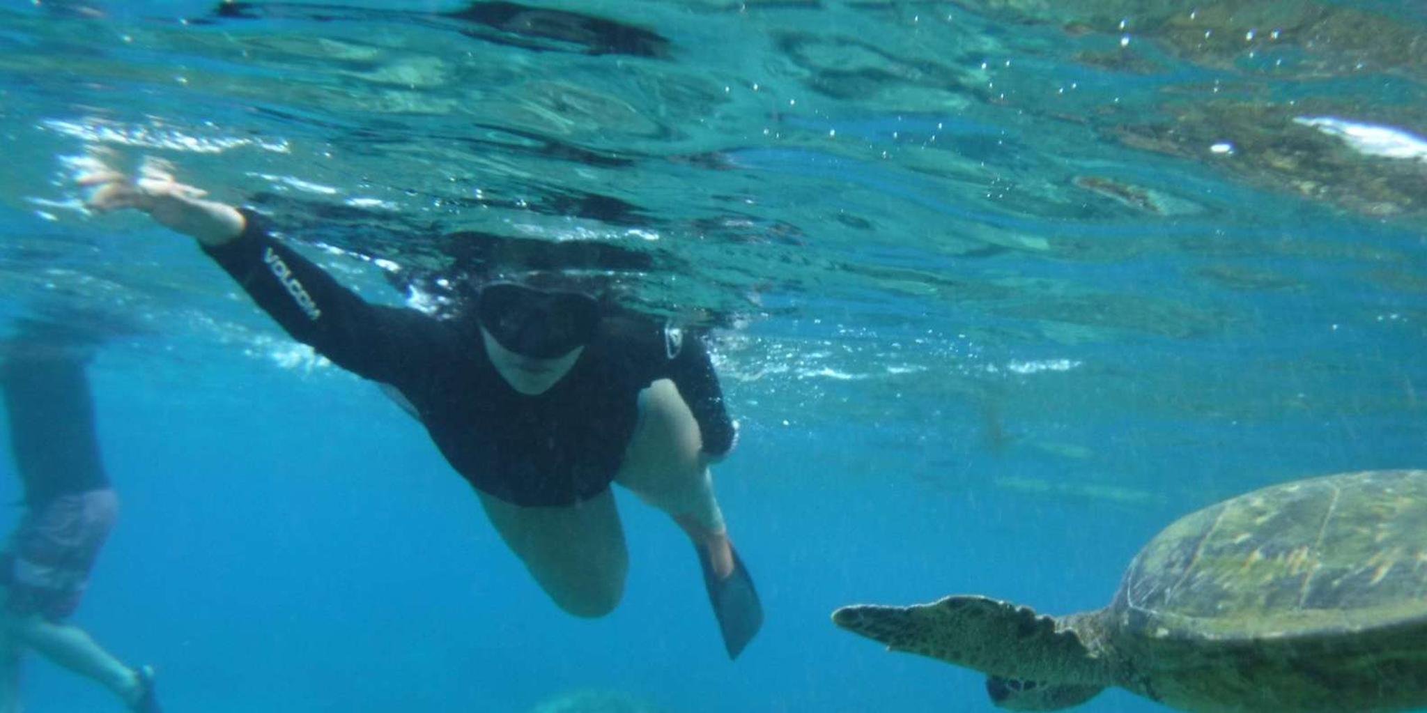 Maui Snorkeling Tour with Gear and Instructor 1.5 hr - Image 3