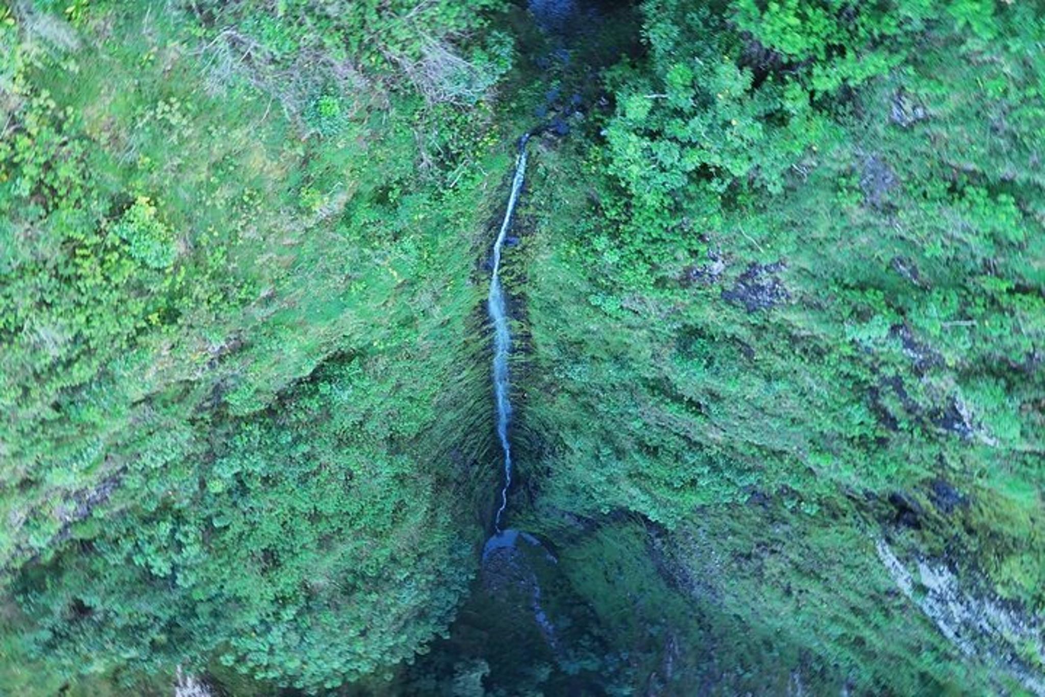 Oahu Canyon Rappel and Hike Expedition - Image 3