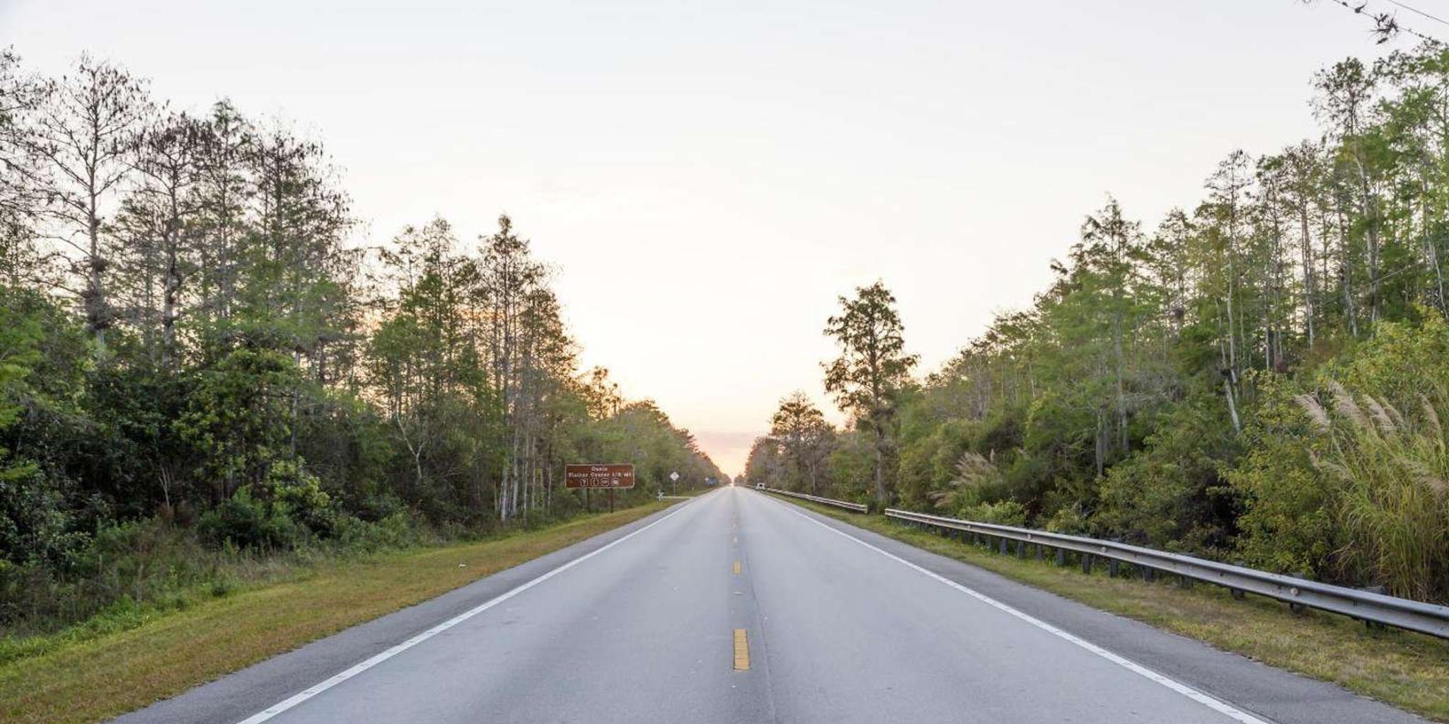 Miami Everglades Private Tour 4 hr - Image 5