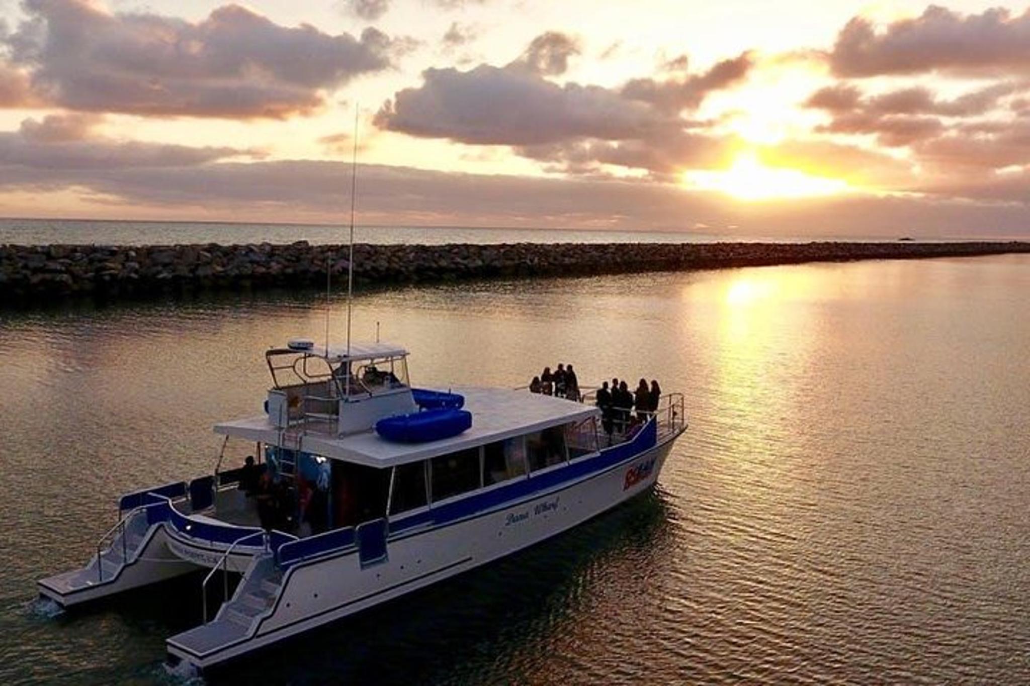 Dana Point Catamaran Sunset Wine Cruise 90 Min