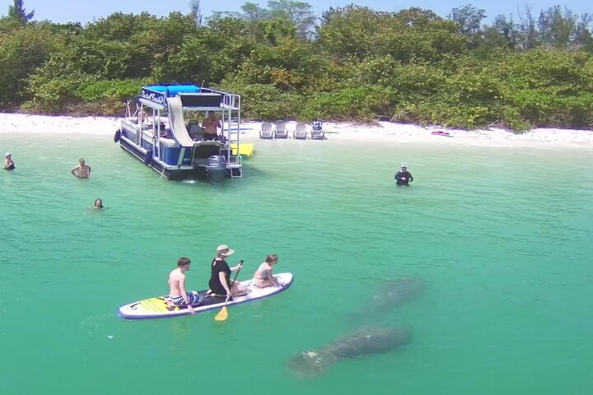 Siesta Key Funship Adventure Dolphin Cruise