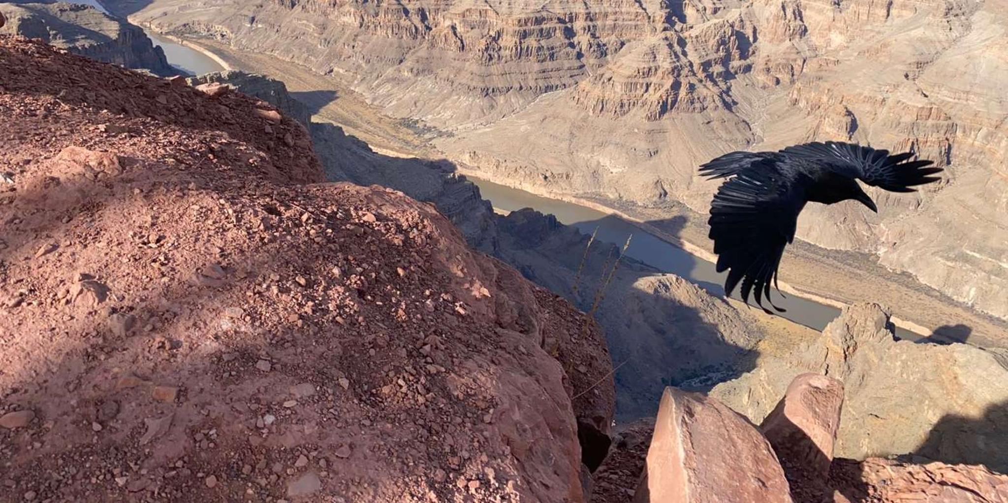 Las Vegas Grand Canyon & Hoover Dam Private Tour