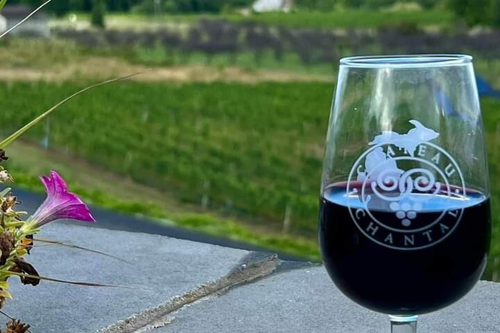 Traverse City Wine Tour in Luxury SUV - Image 5
