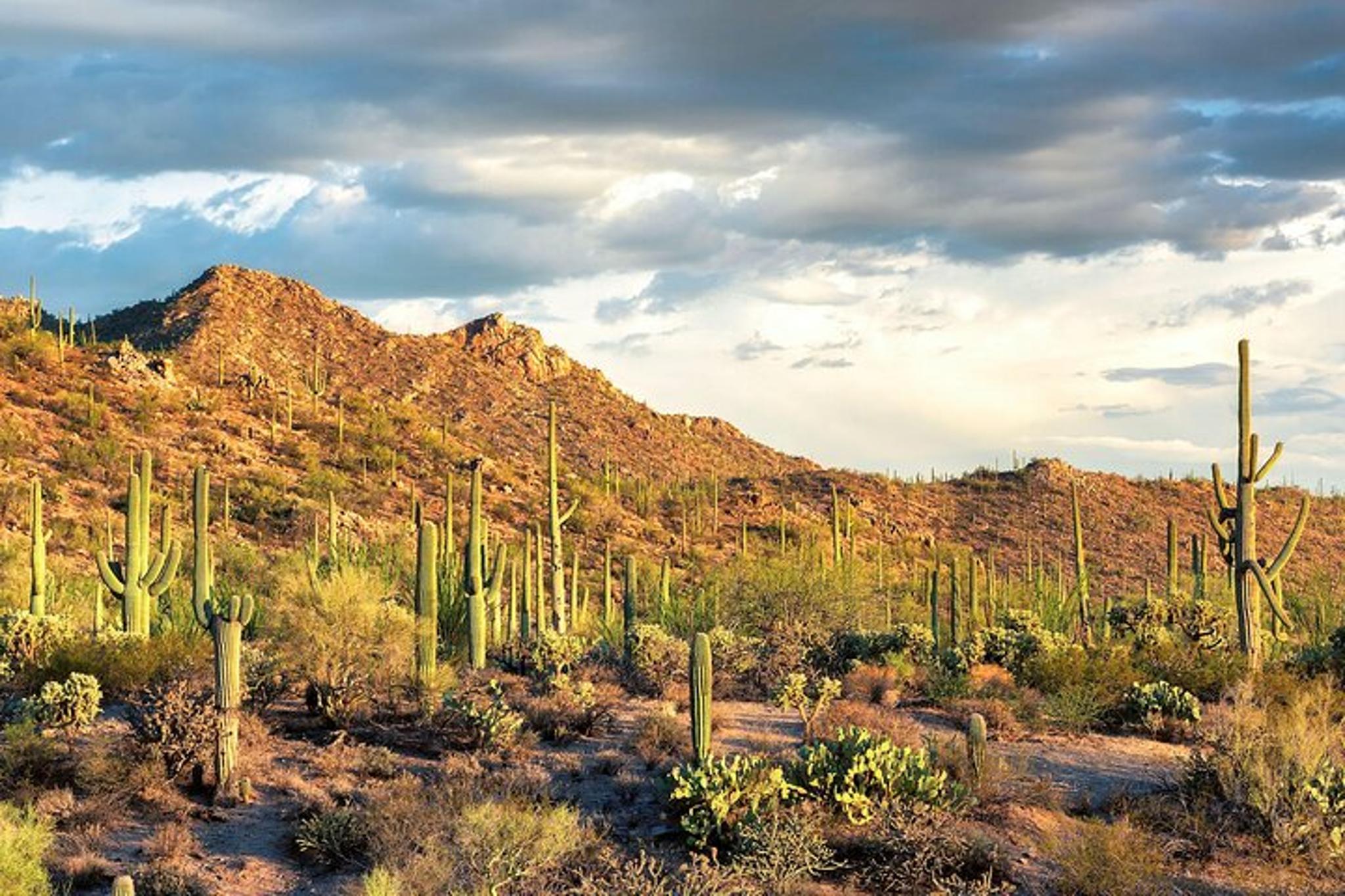 Los Angeles to Las Vegas 7-Day National Parks Tour - Image 4