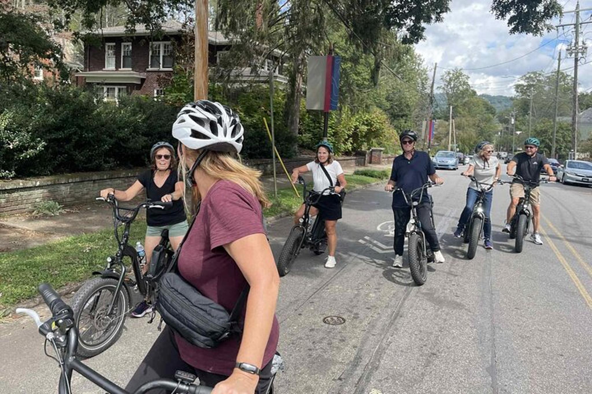 Asheville E-bike Tour of River Arts and Murals - Image 6