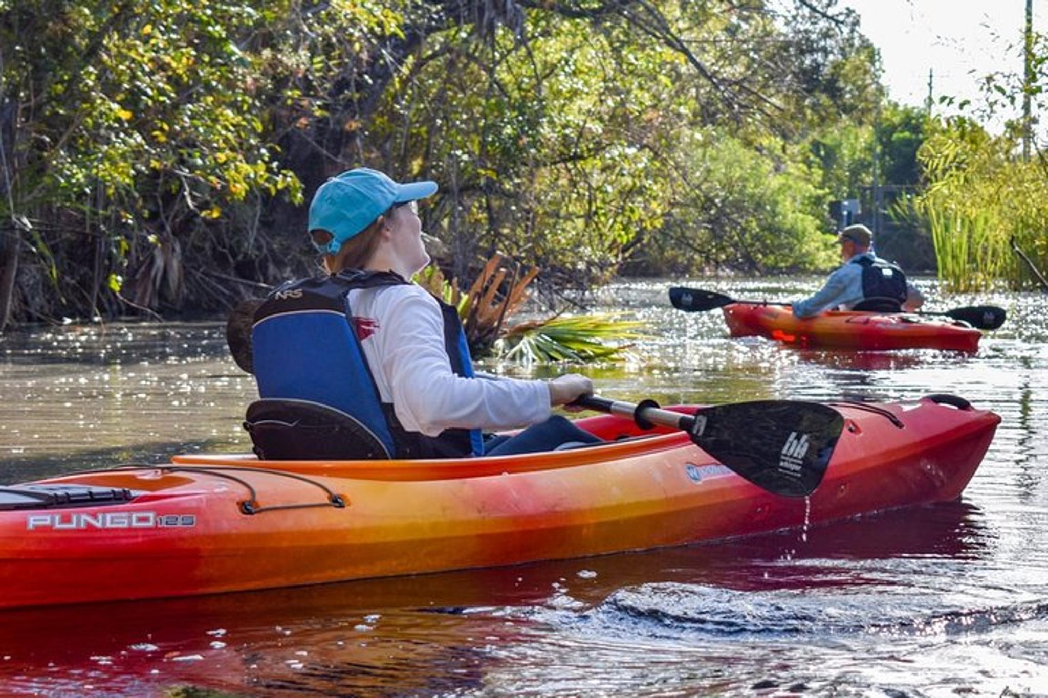 Everglades Guided Kayak Tour - Image 4