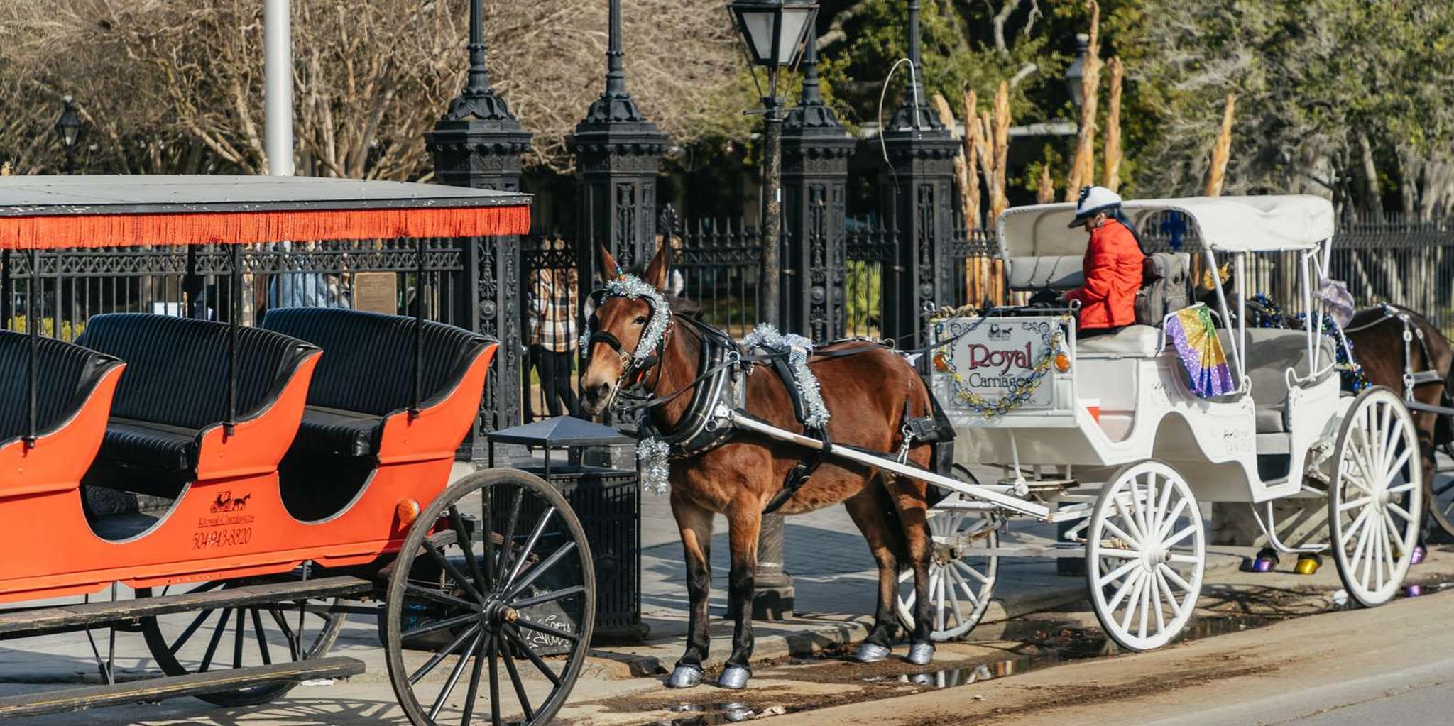New Orleans City and Cemetery Tour with Garden District Walk - Image 3