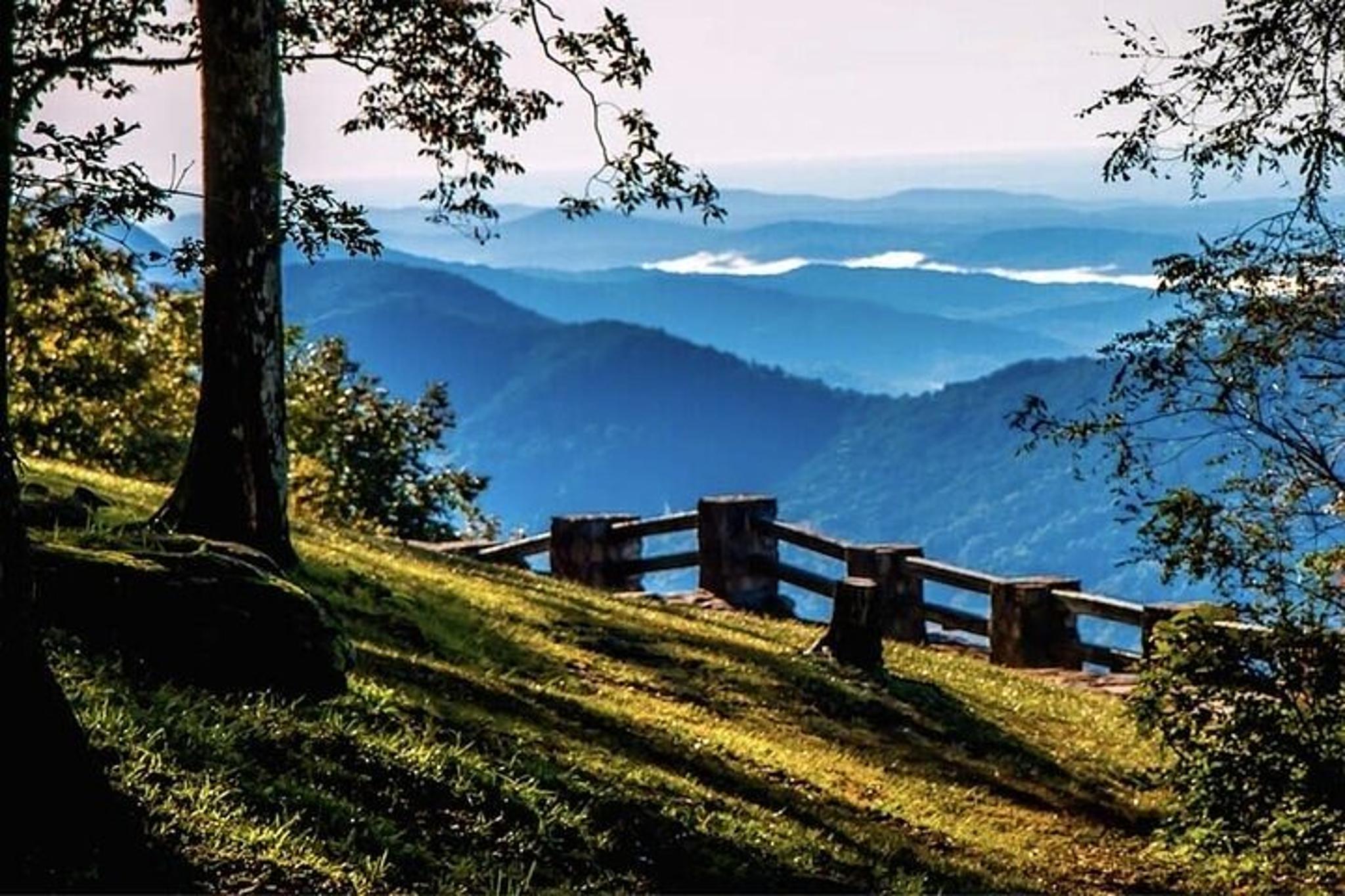 Atlanta Amicalola Falls and Blue Ridge Tour - Image 4