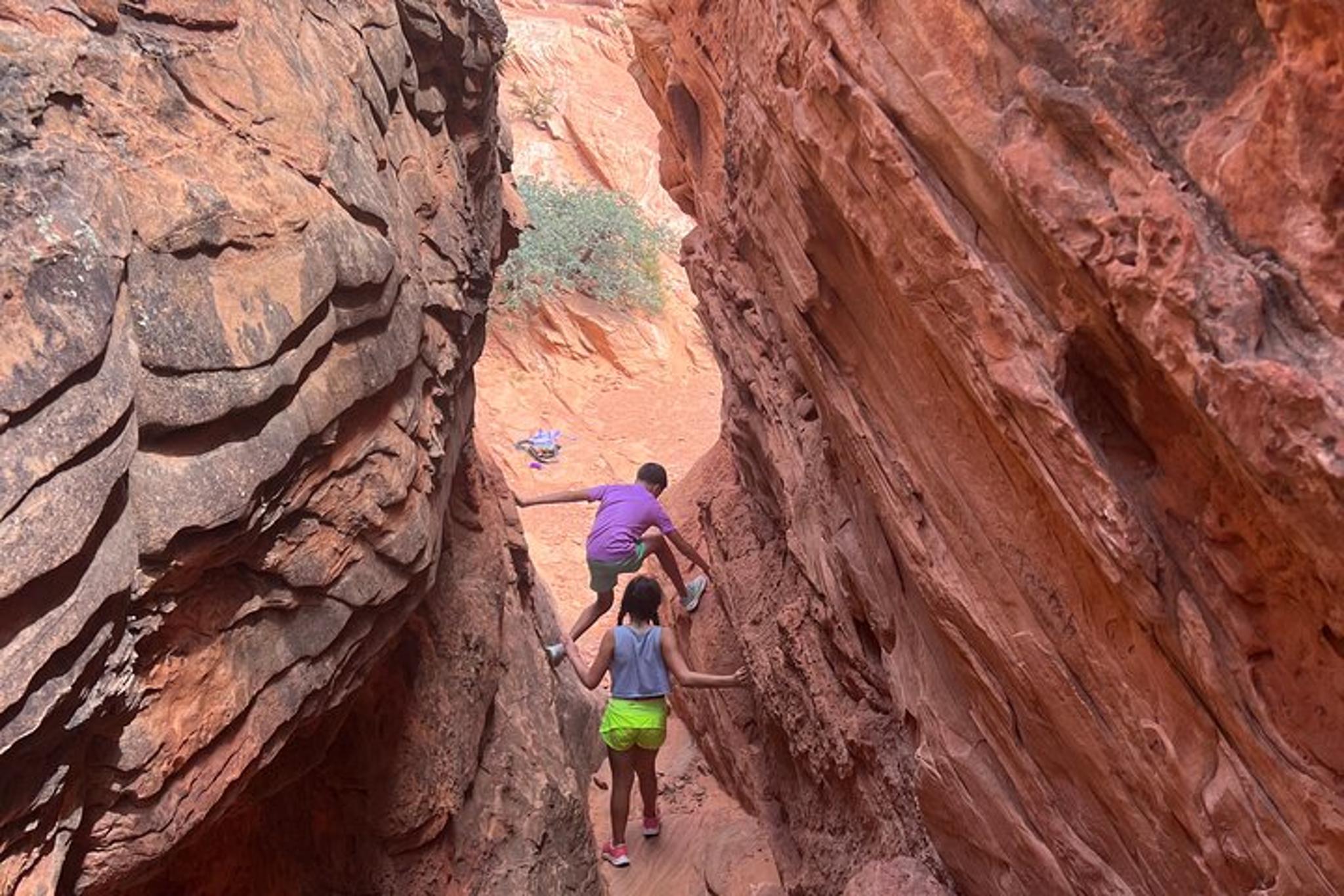 Zion Babylon Arch Hike and Desert Wildlife Adventure - Image 5