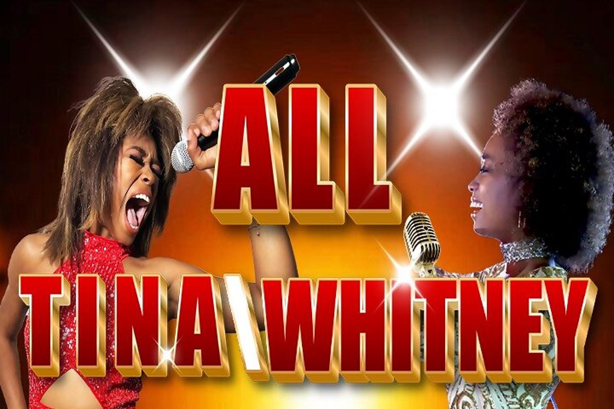 Las Vegas Tina Turner Tribute Show - Image 2