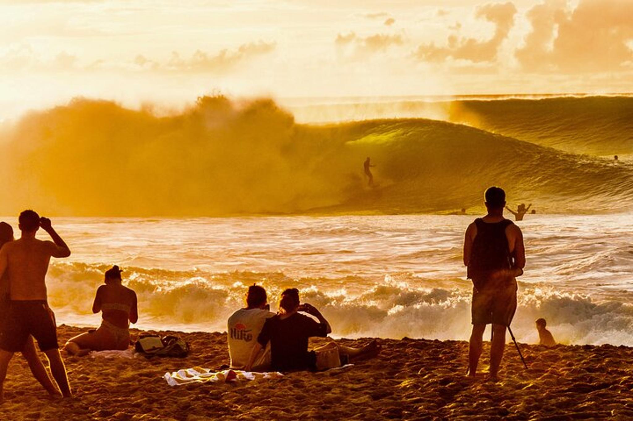 Oahu Scenic Tour to North Shore Half-Day - Image 2