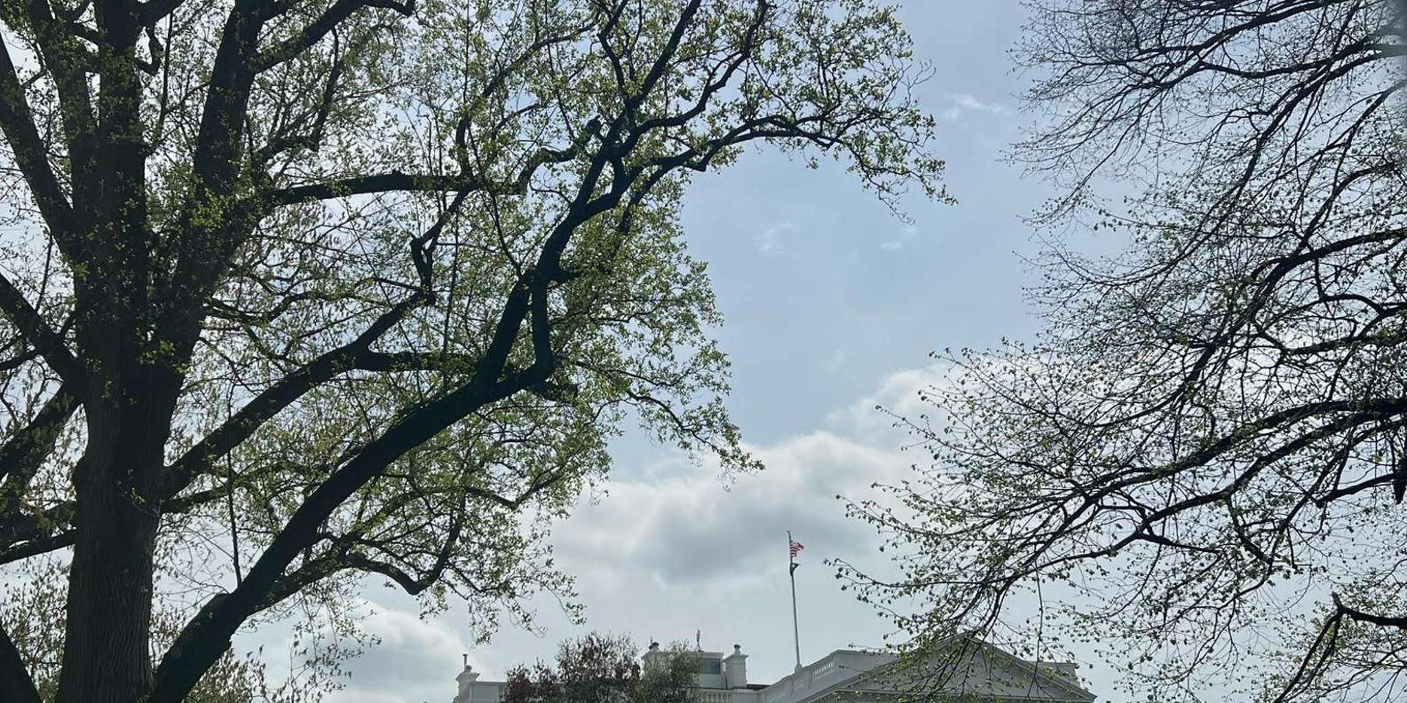 Washington, D.C. Day Trip from New York - Image 3