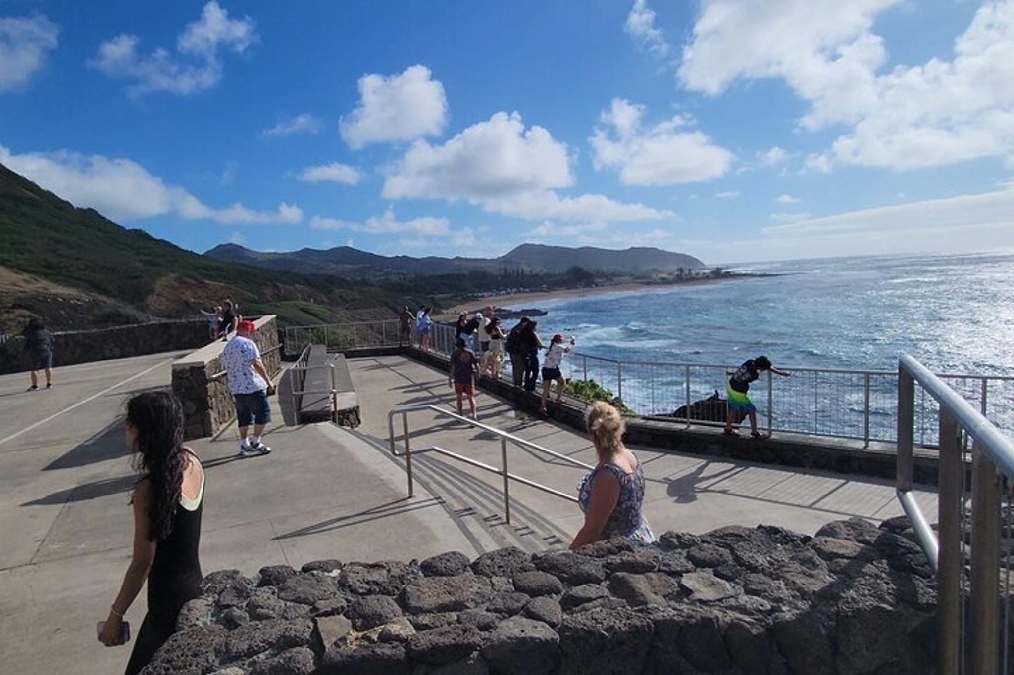 Oahu Snorkeling Tour with Turtles - Image 5
