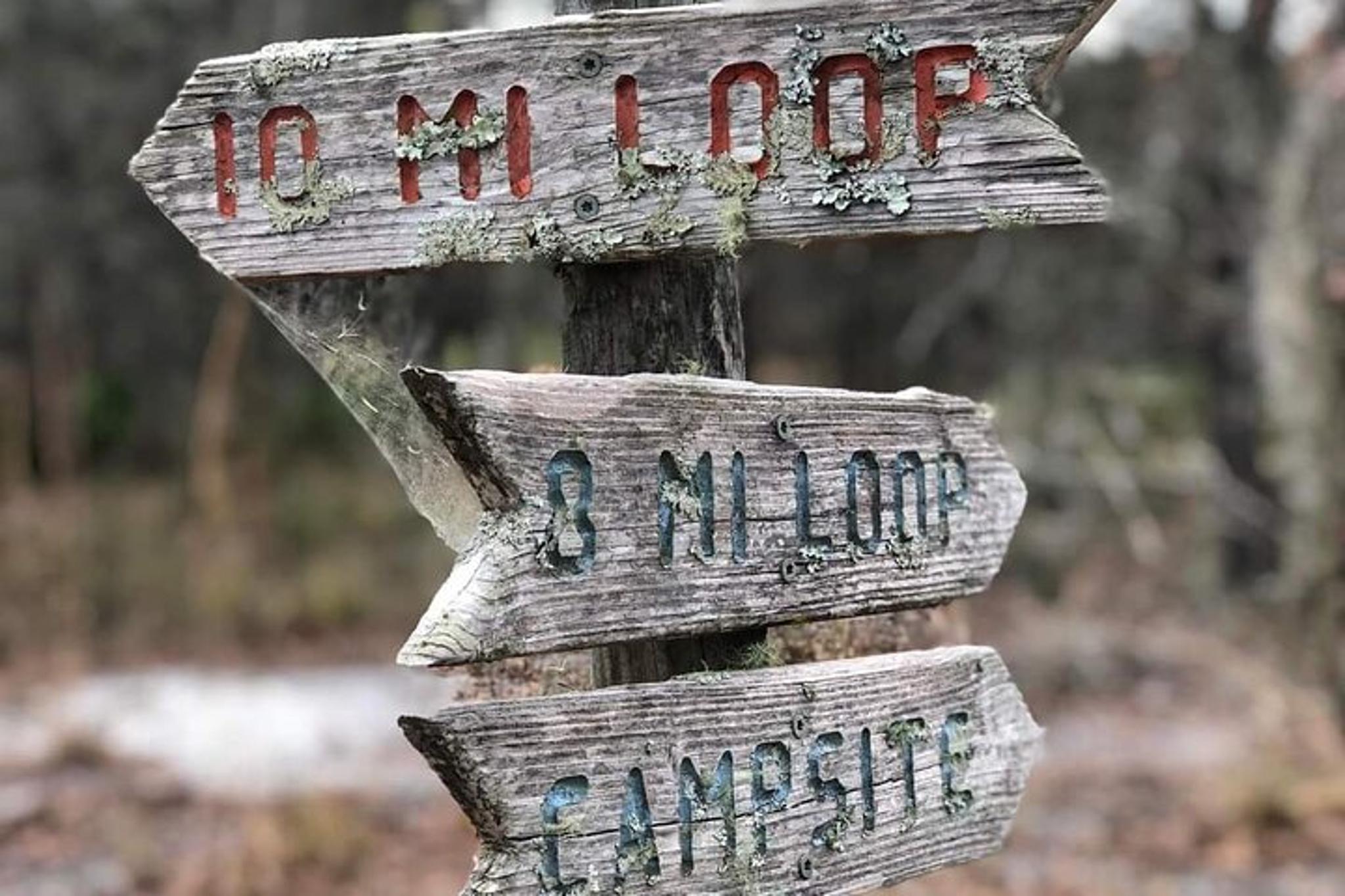 Florida Backcountry Camping Adventure - Image 6