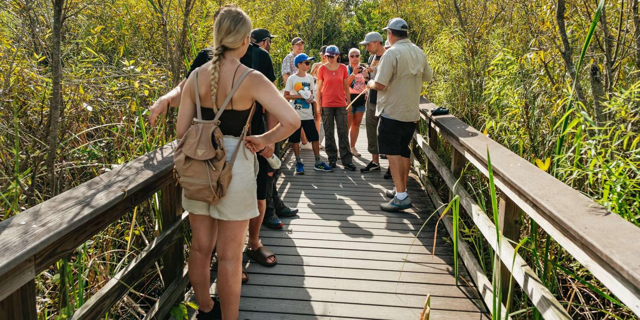 Miami Everglades Airboat Ride and Nature Walk - Image 6