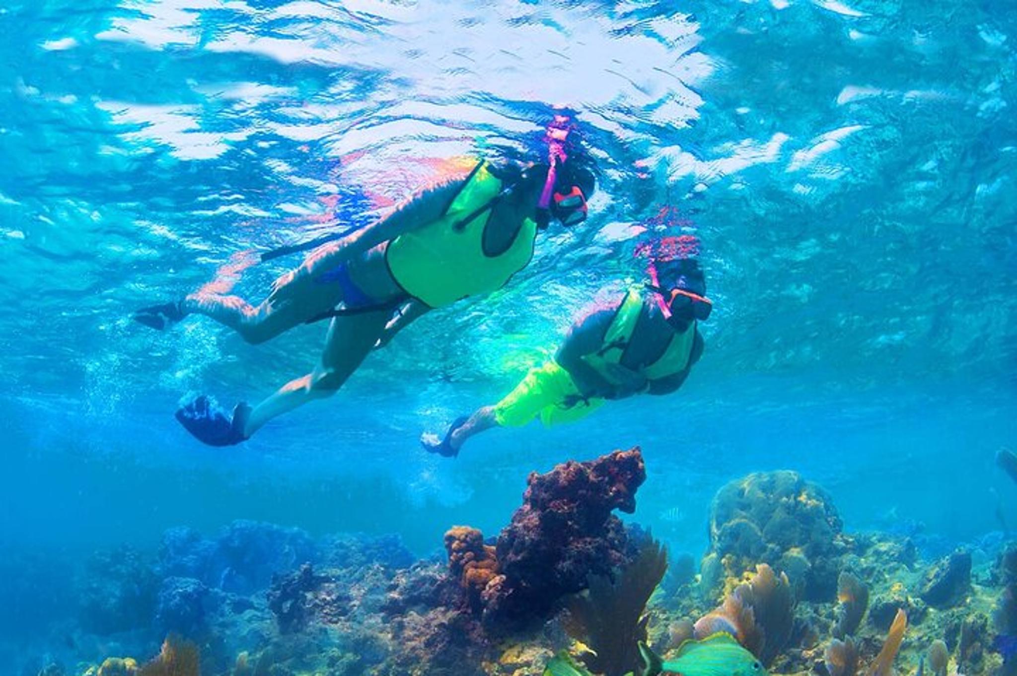 Miami Sandbar Adventure & Snorkel Boat Tour - Image 6