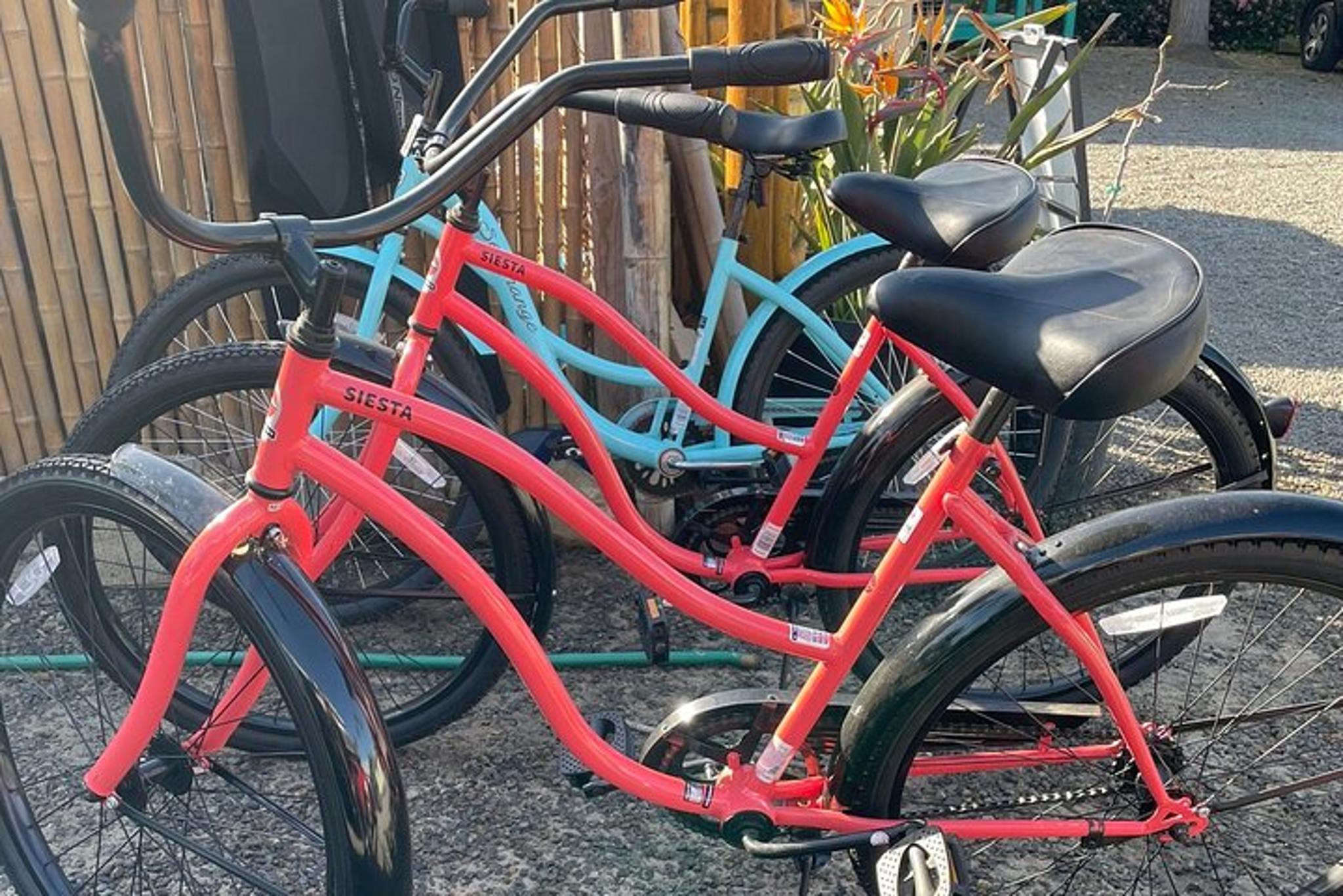 Solana Beach Cruiser Bike Rental - Image 1