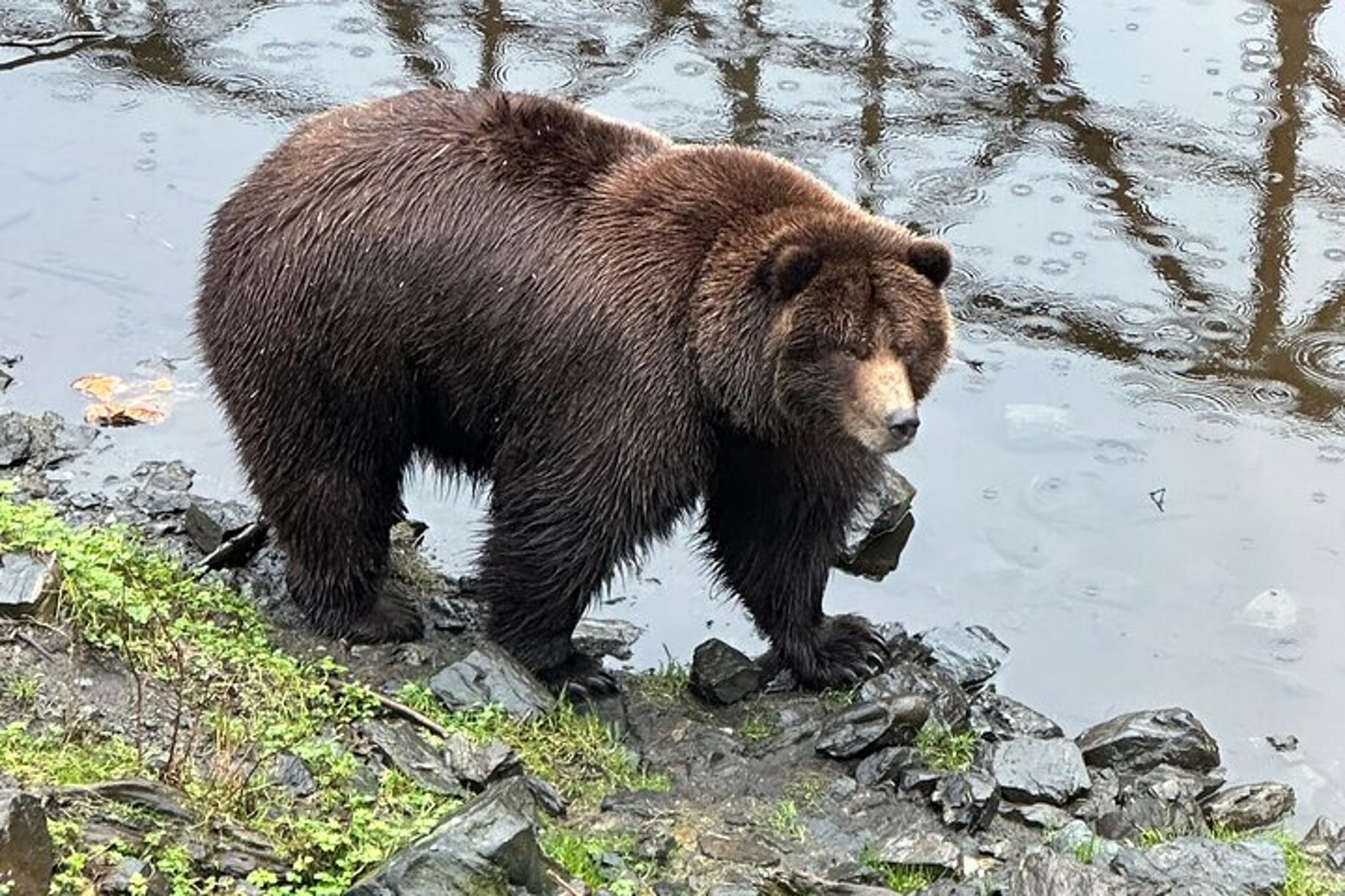 Sitka Scenic Private Tour - Image 4