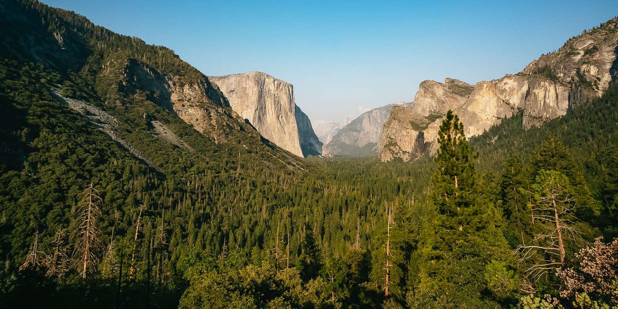 San Francisco Yosemite Giant Sequoias Day Tour - Image 6