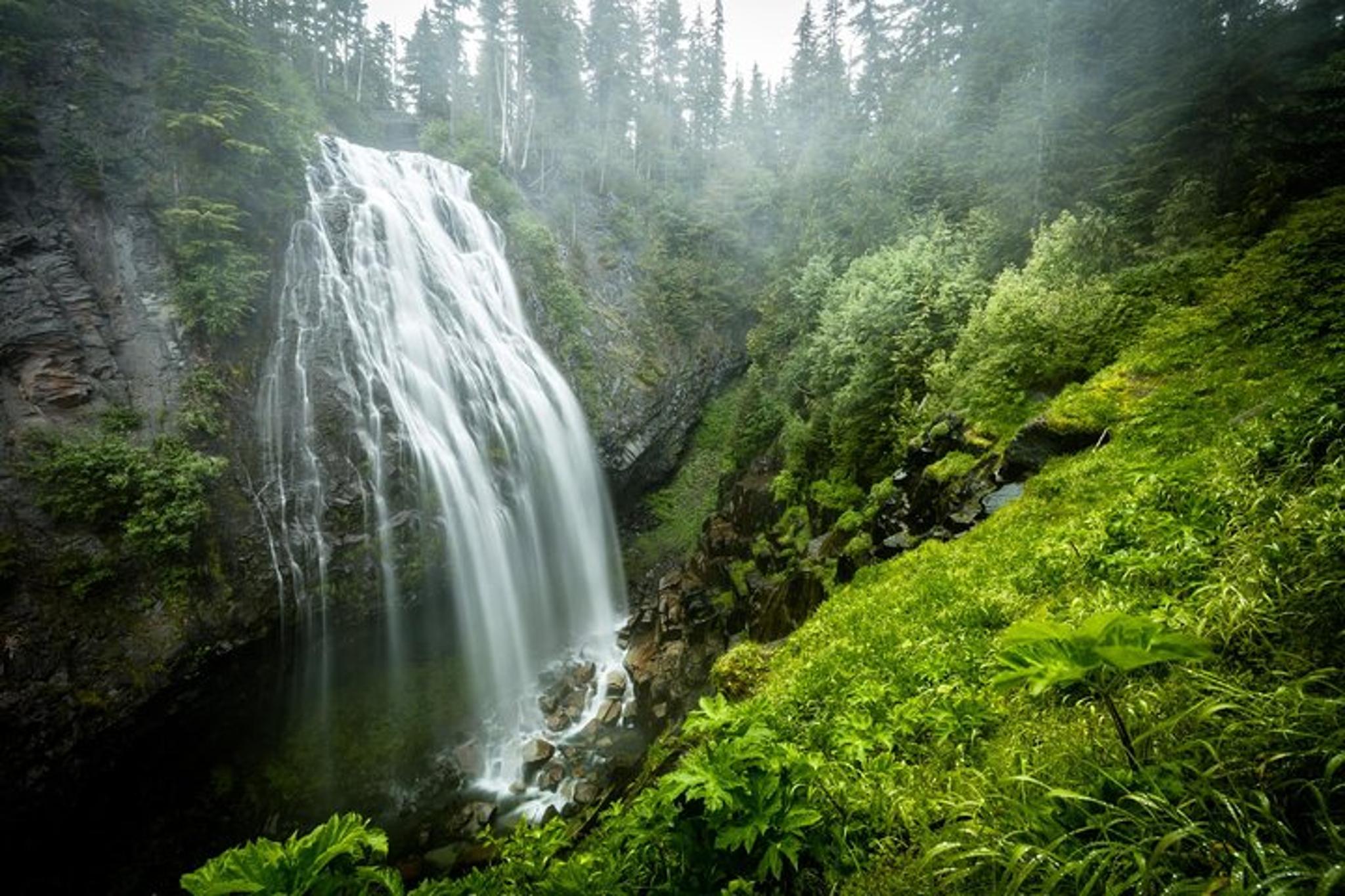 Seattle Mt. Rainier National Park Tour - Image 1