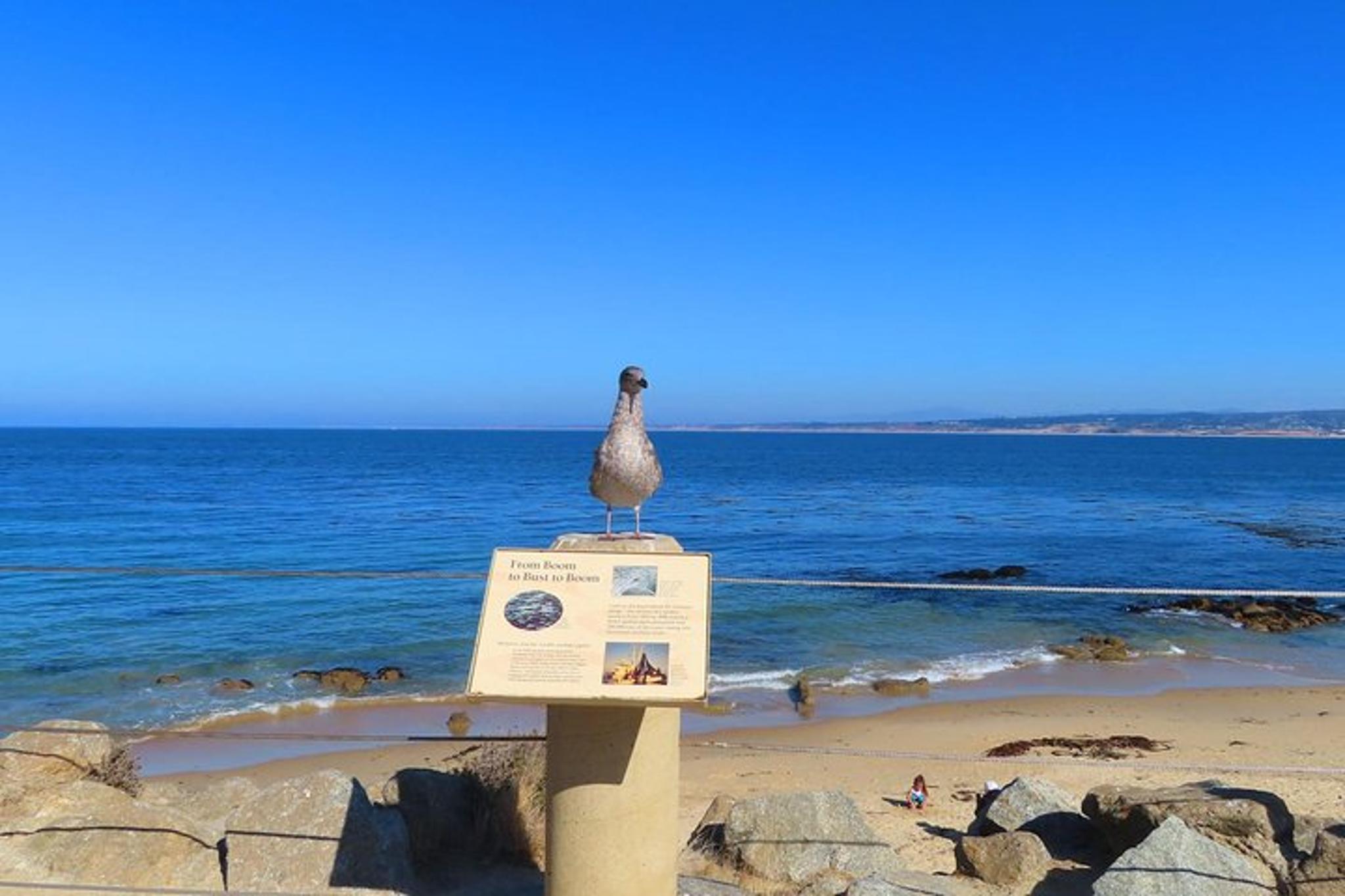 Monterey Cannery Row Self-Guided Audio Tour - Image 5