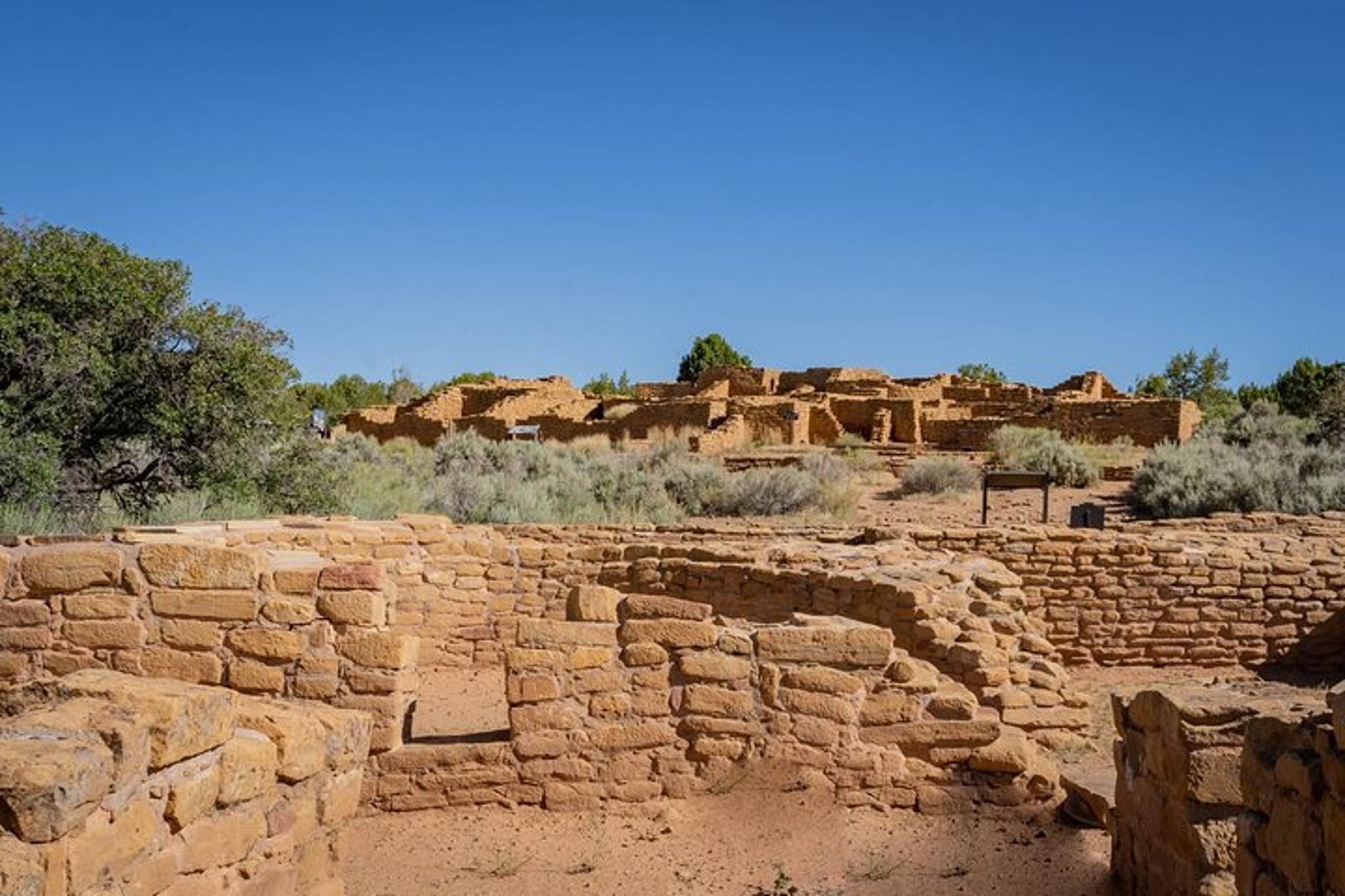 Mesa Verde Cliff Palace Tour with Lunch - Image 6