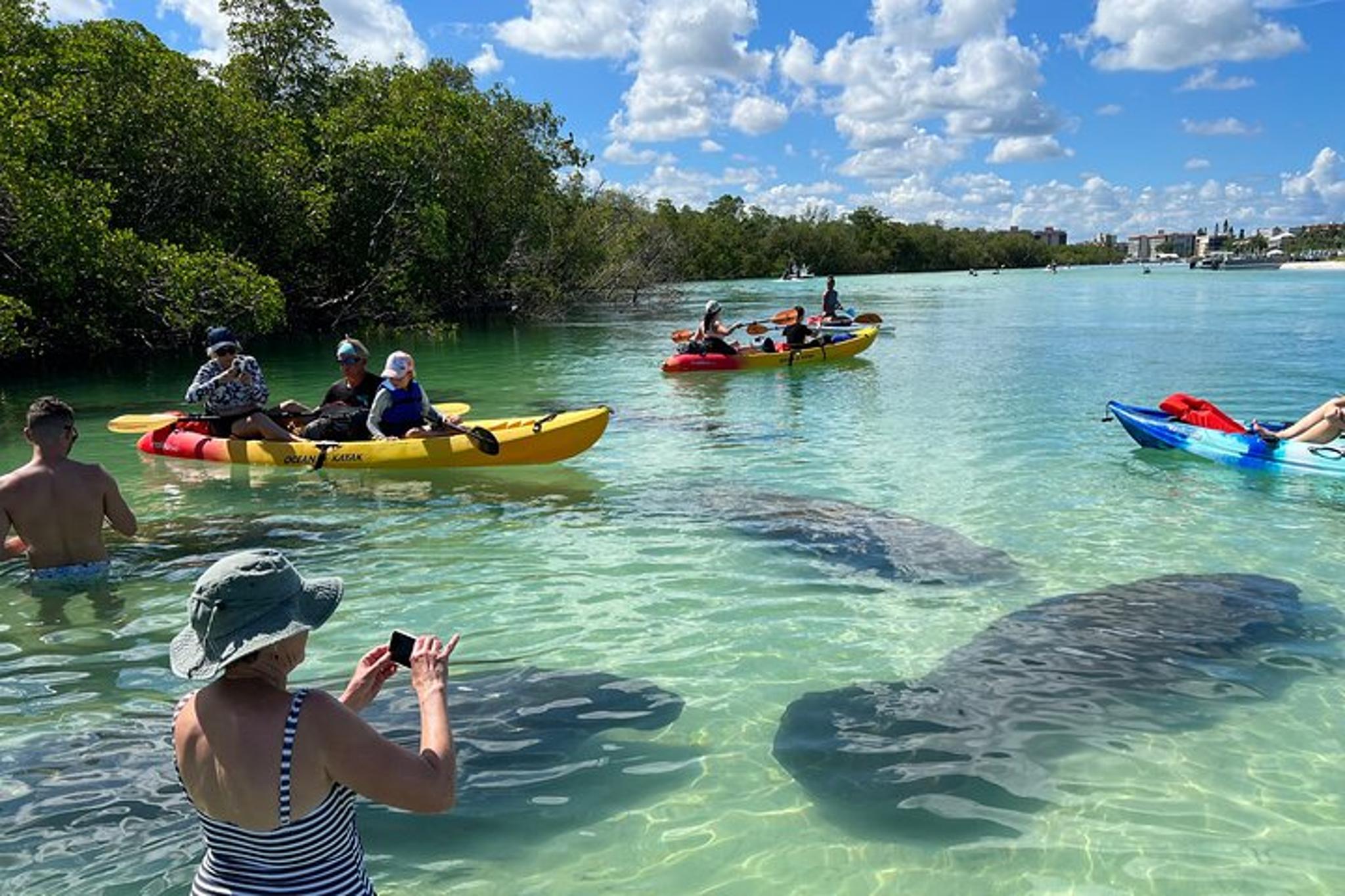 Bonita Springs Self-Guided Kayak and SUP Tour - Image 2