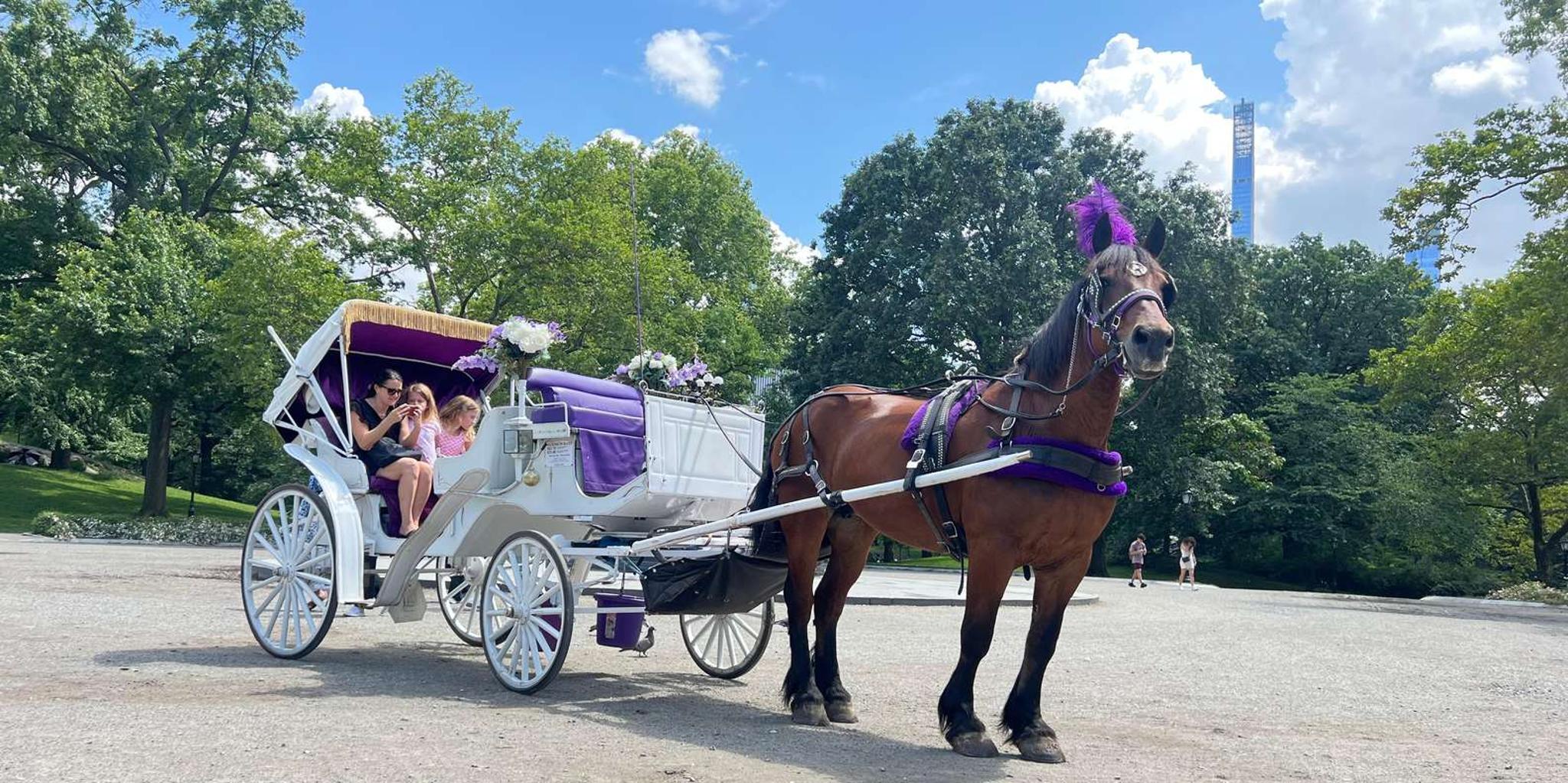 New York Central Park Carriage Ride - Image 6