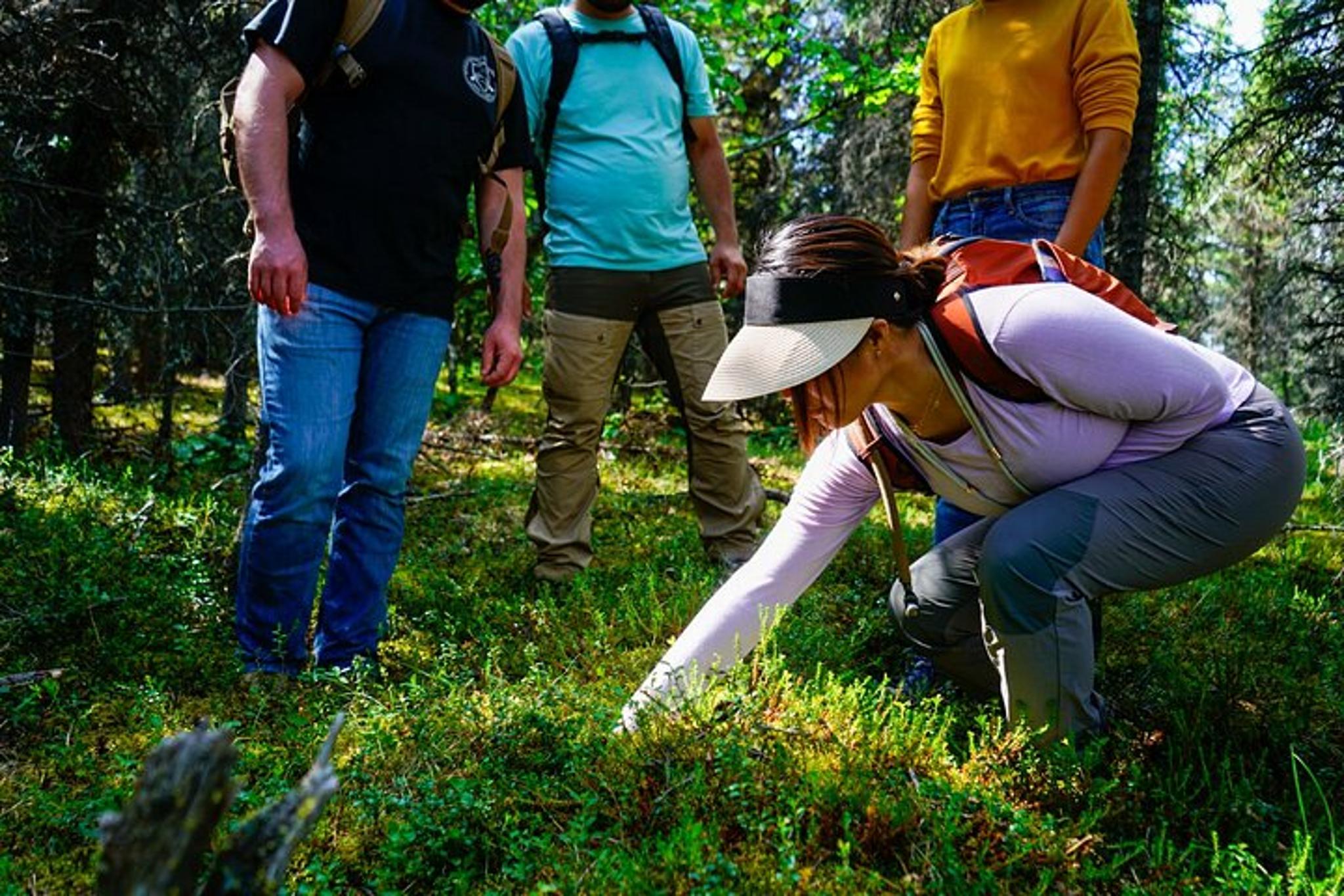 Denali Off-Trail Hiking Adventure
