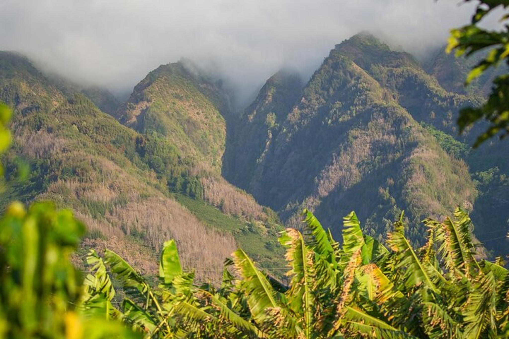 Maui Farm Tour - Image 6