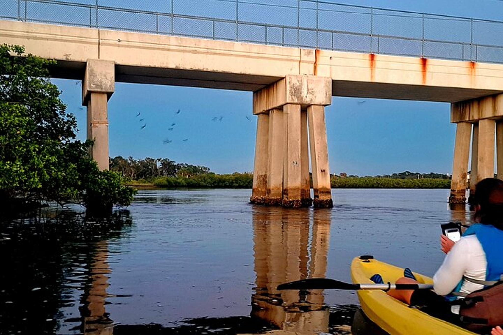 Tarpon Springs Kayak Tour at Sunset and Night - Image 2